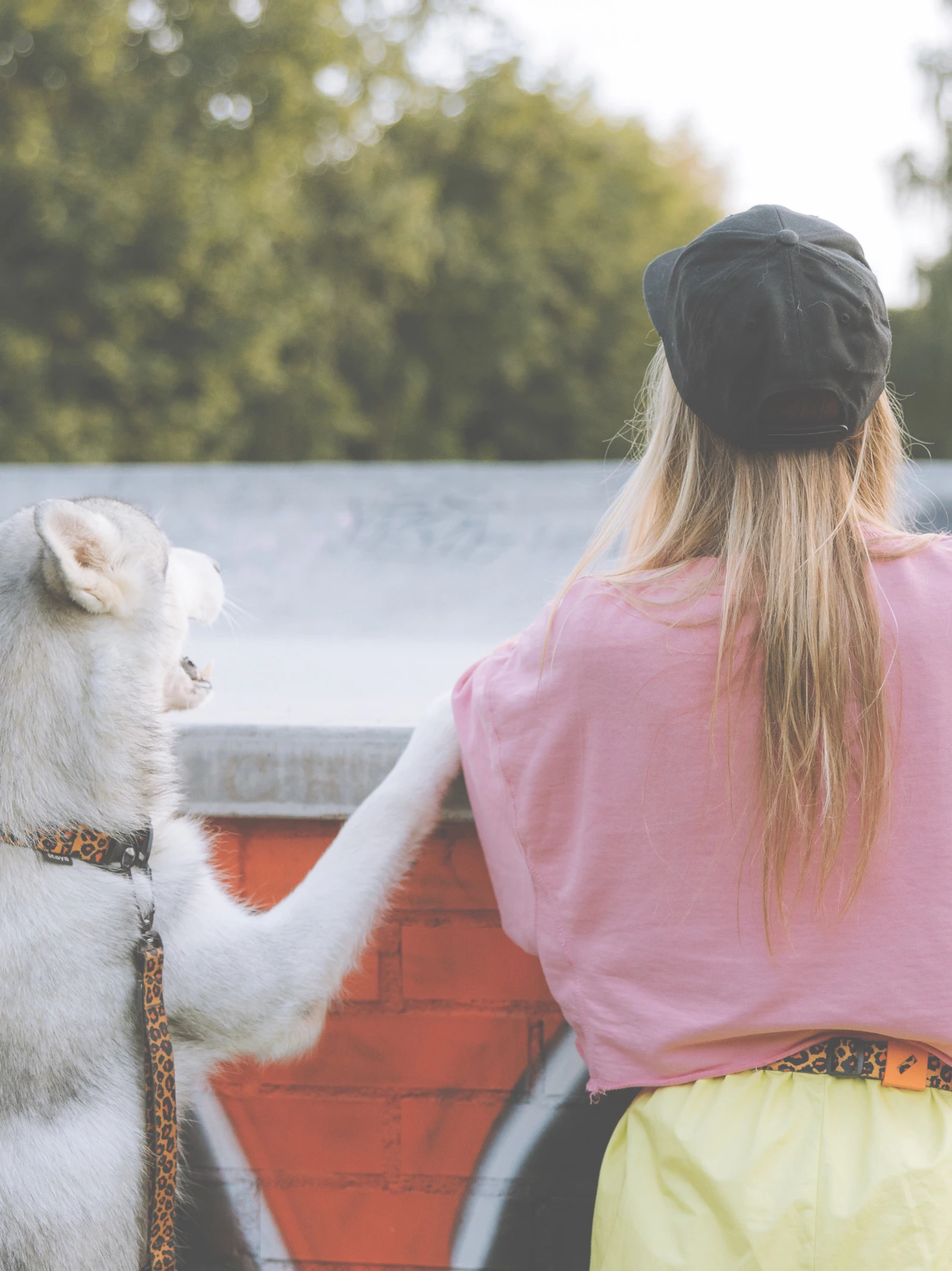 Waarom we honden en katten als onze kinderen zien