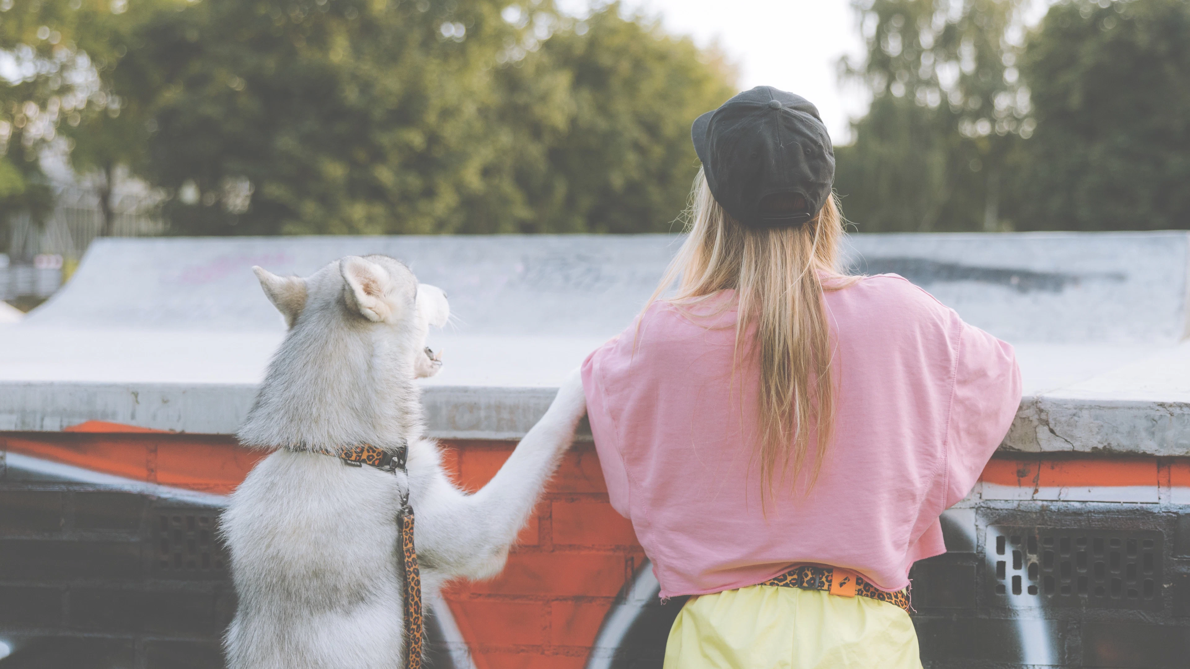 Waarom we honden en katten als onze kinderen zien