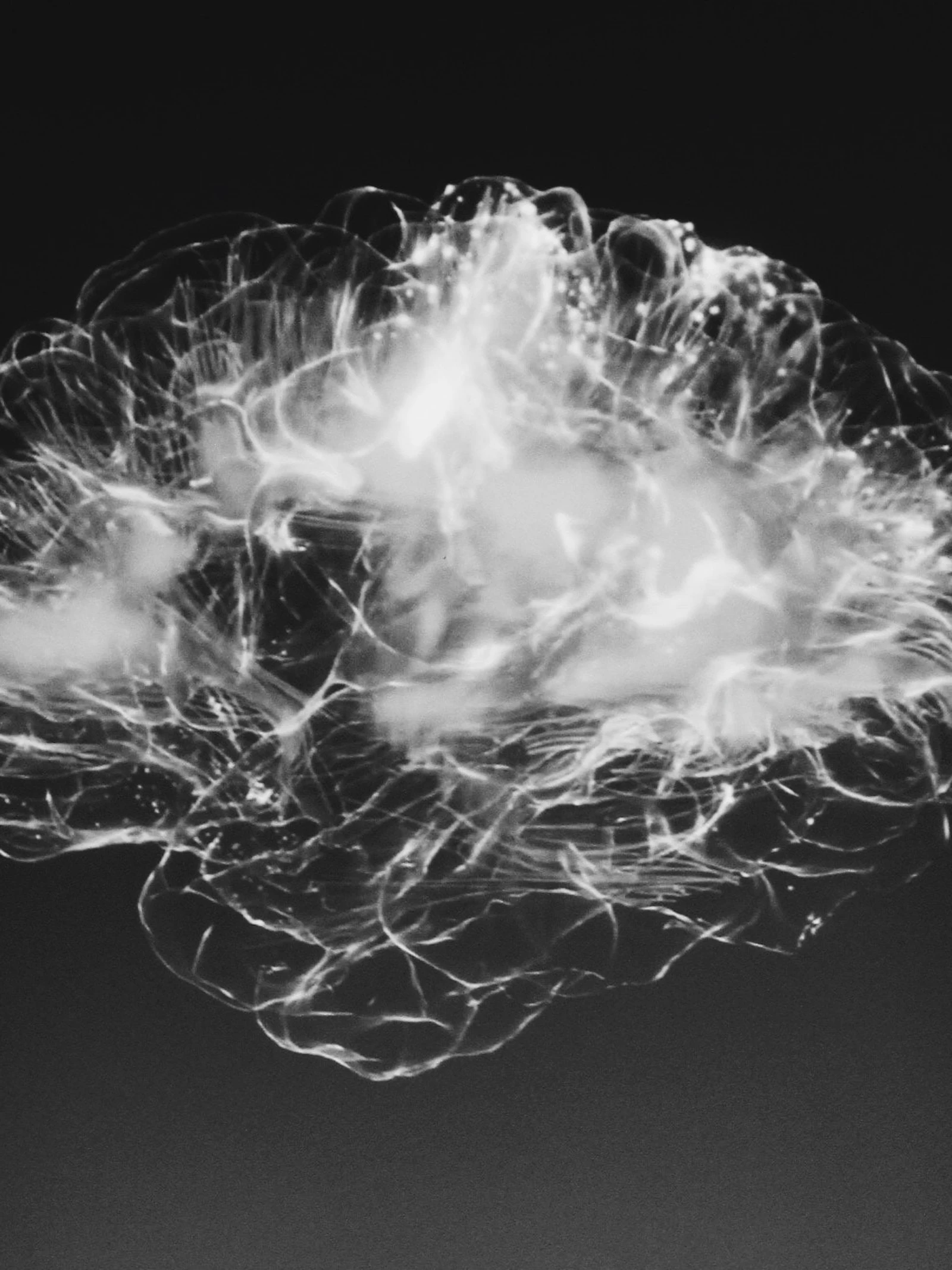 Kan hersenstimulatie de cognitie verbeteren?