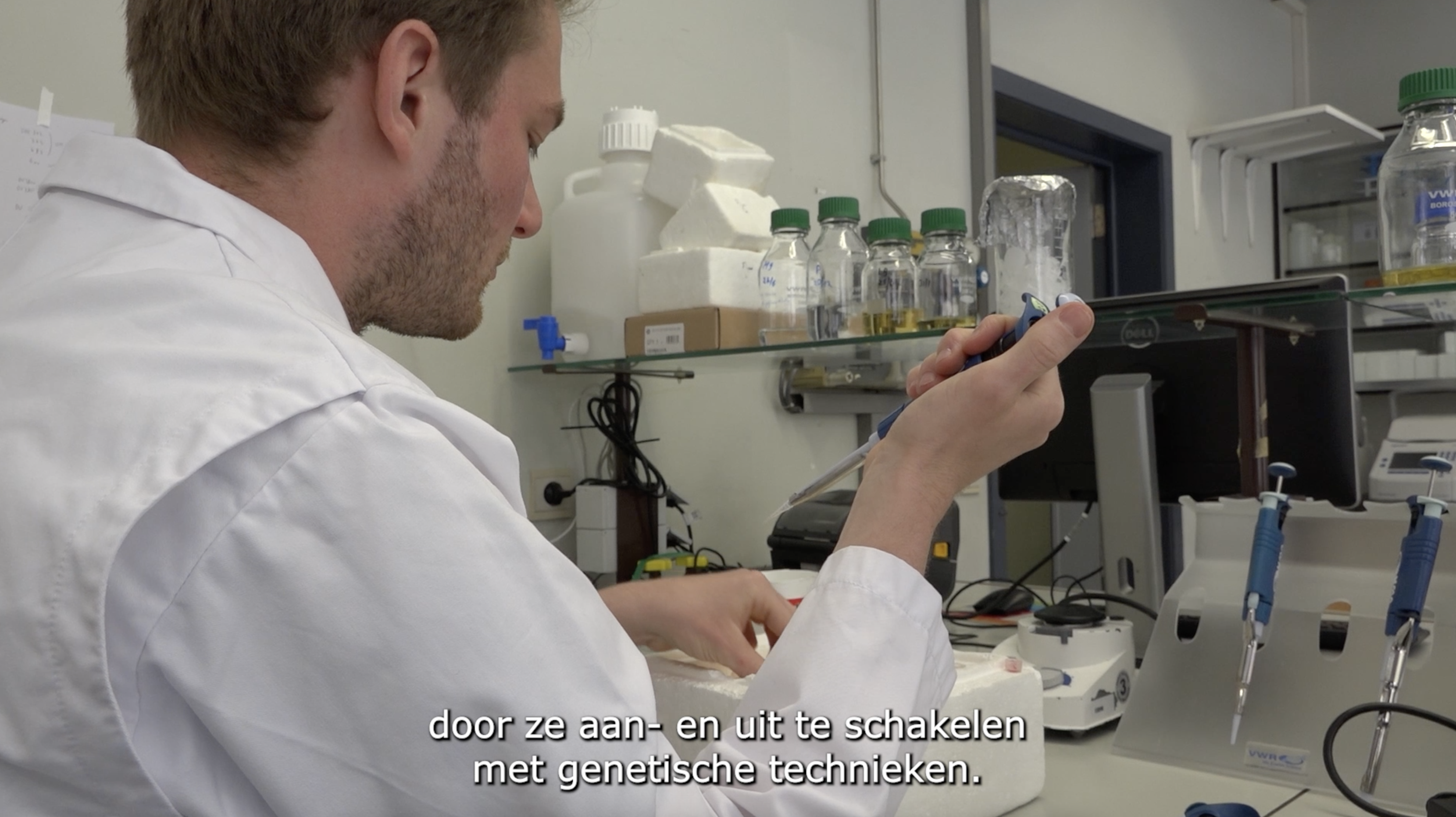 Hoe kunnen wormen ons iets leren over hersenen en gedrag?