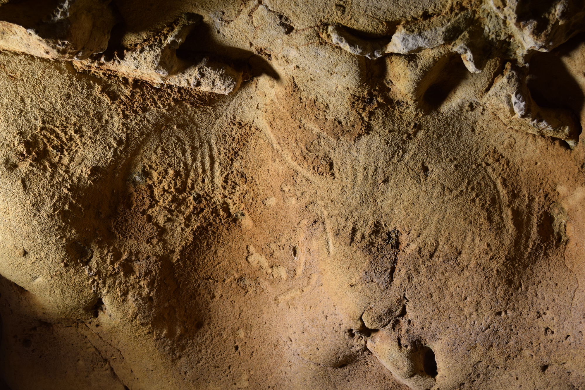 Abstracte gravures in Franse grot zijn gemaakt door neanderthalers