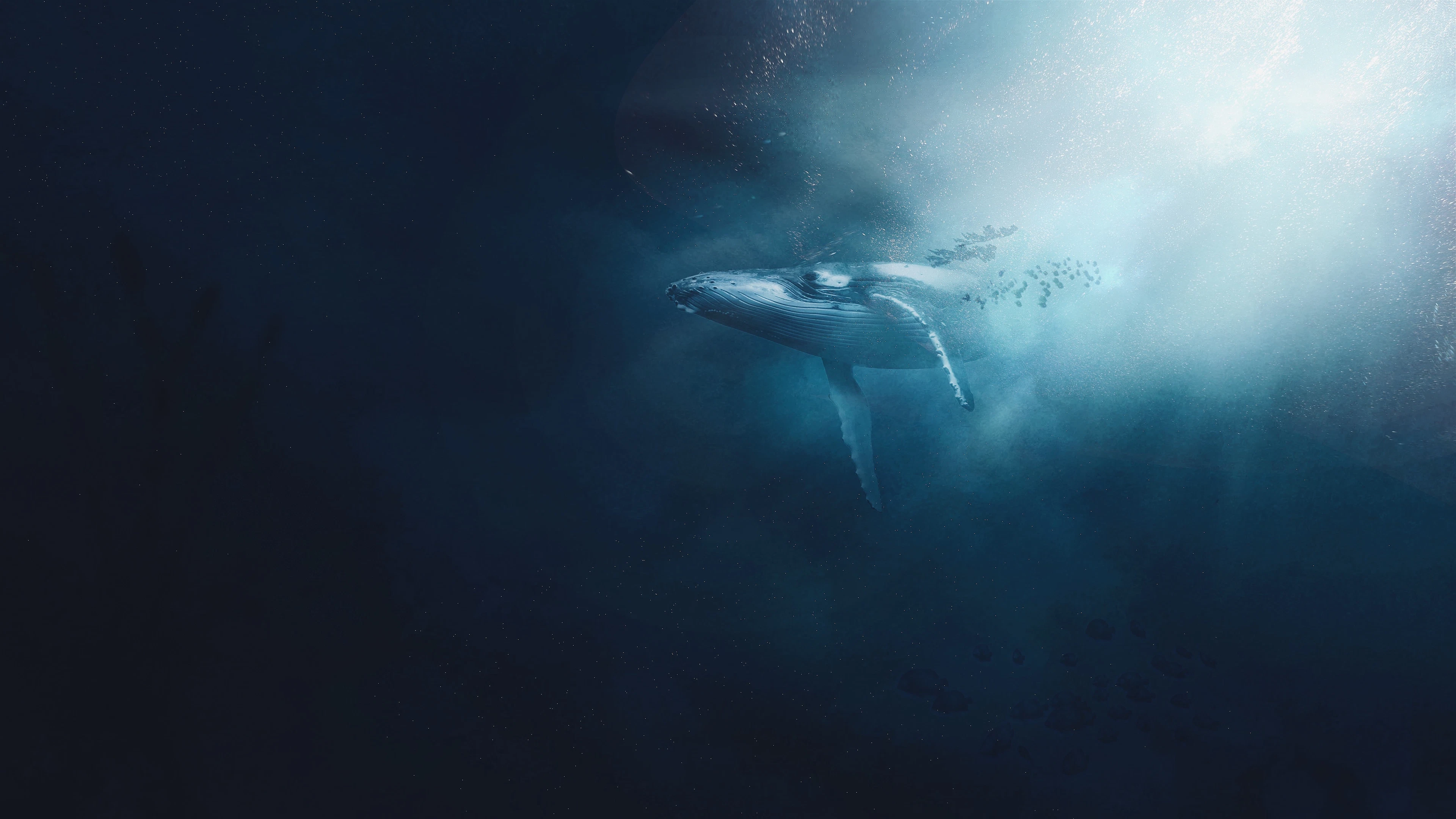 Walvis dan toch geen klimaatheld
