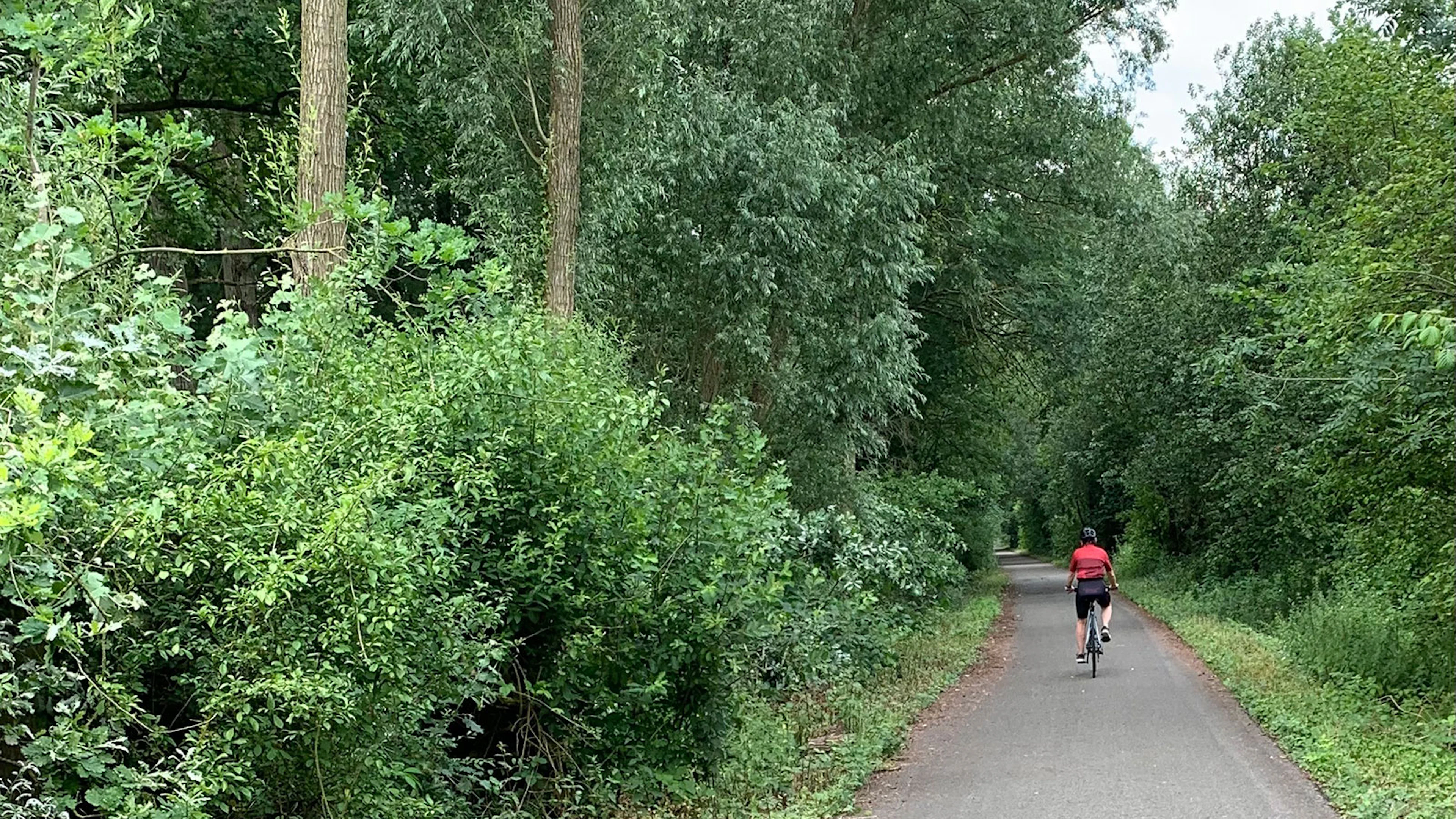 Is een fitter lichaam ook meetbaar jonger?