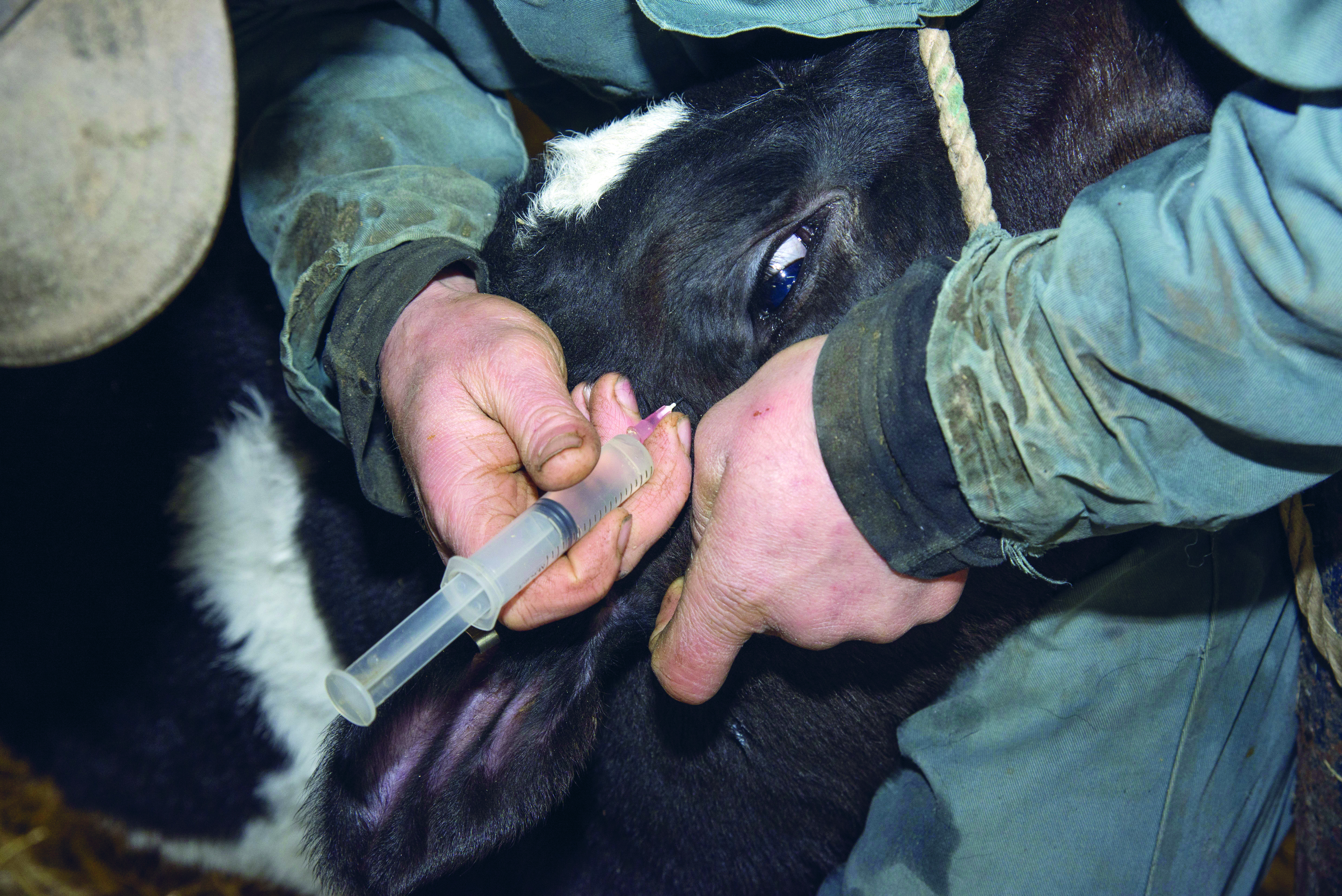 Kunnen we dierenwelzijn meten?