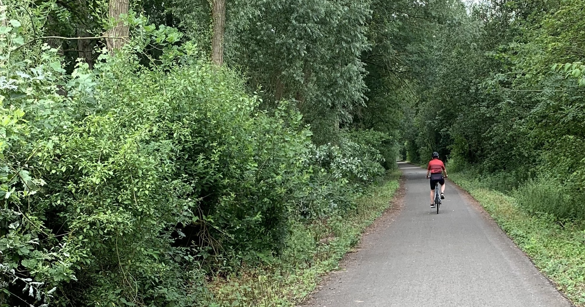 Wat moet je eten als je intensief gaat fietsen? ‘Bespaar niet op wat je voor, tijdens en na het sporten eet’