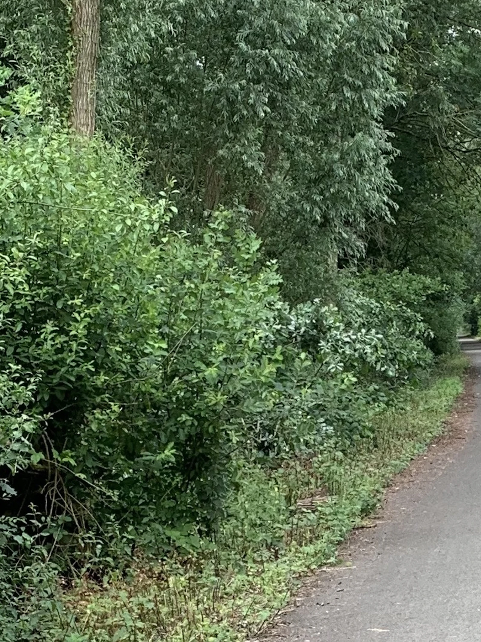 Wat moet je eten als je intensief gaat fietsen? ‘Bespaar niet op wat je voor, tijdens en na het sporten eet’