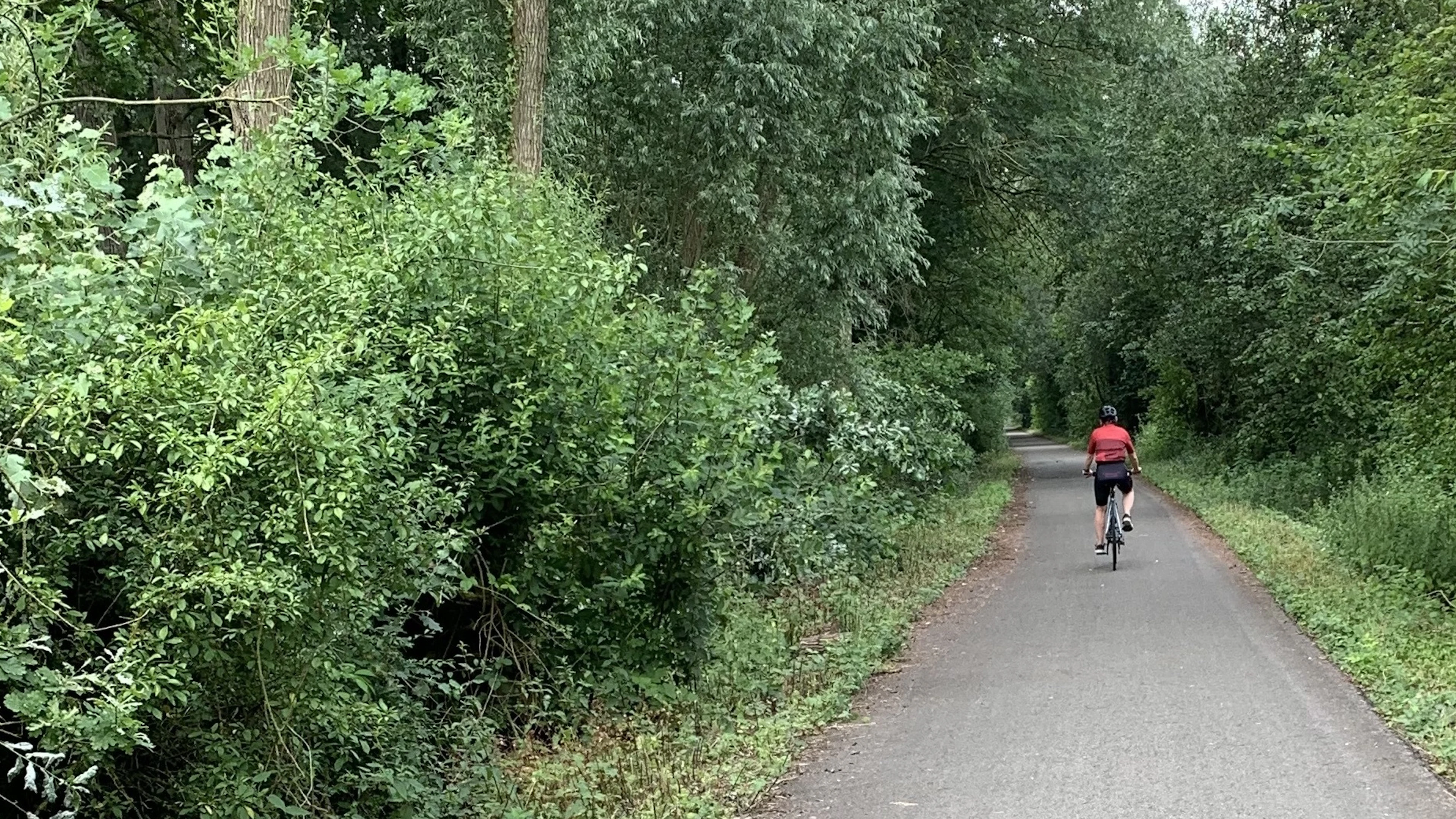 Wat moet je eten als je intensief gaat fietsen? ‘Bespaar niet op wat je voor, tijdens en na het sporten eet’