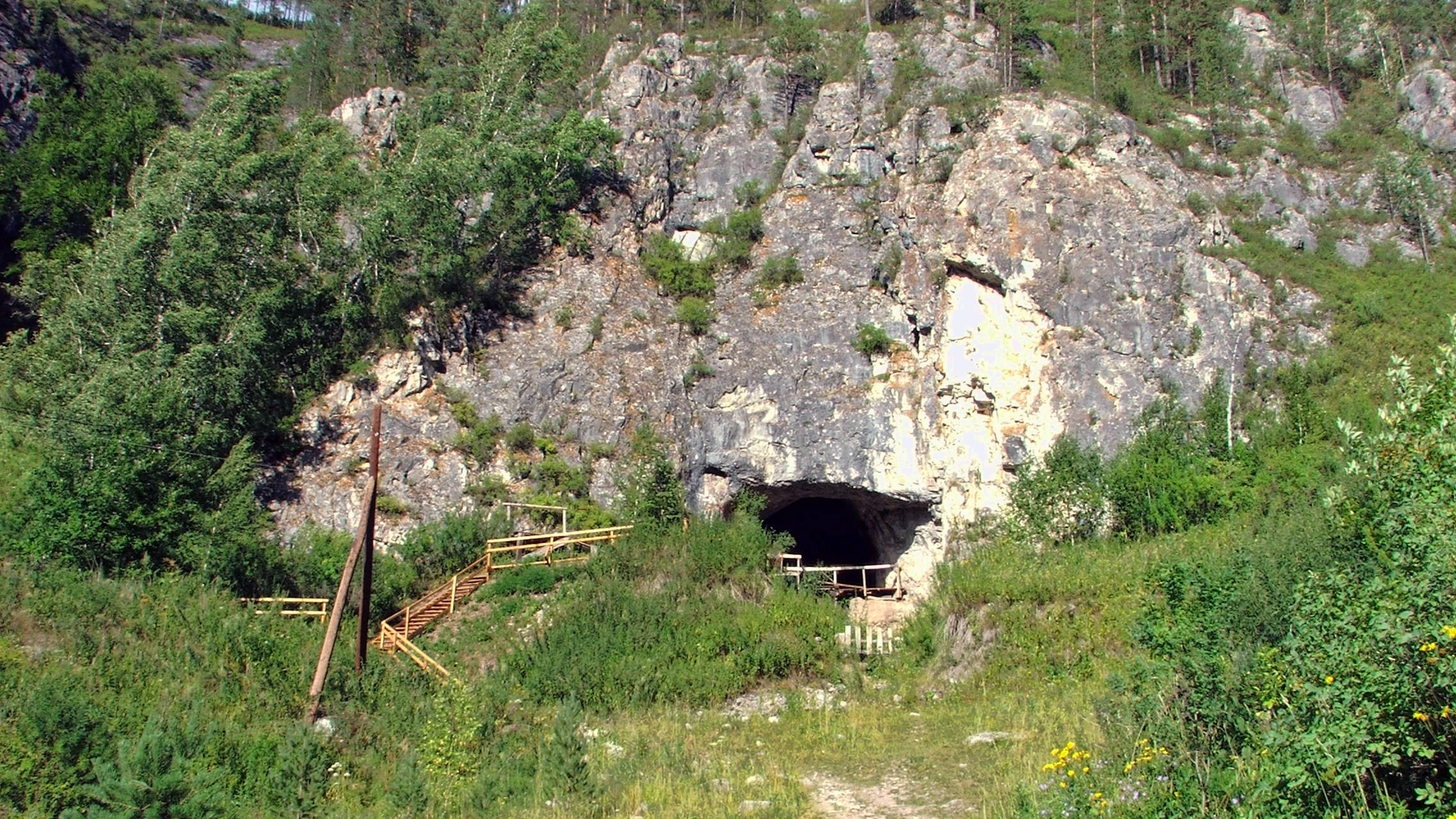 Een warmer klimaat bracht neanderthalers en denisovamensen samen