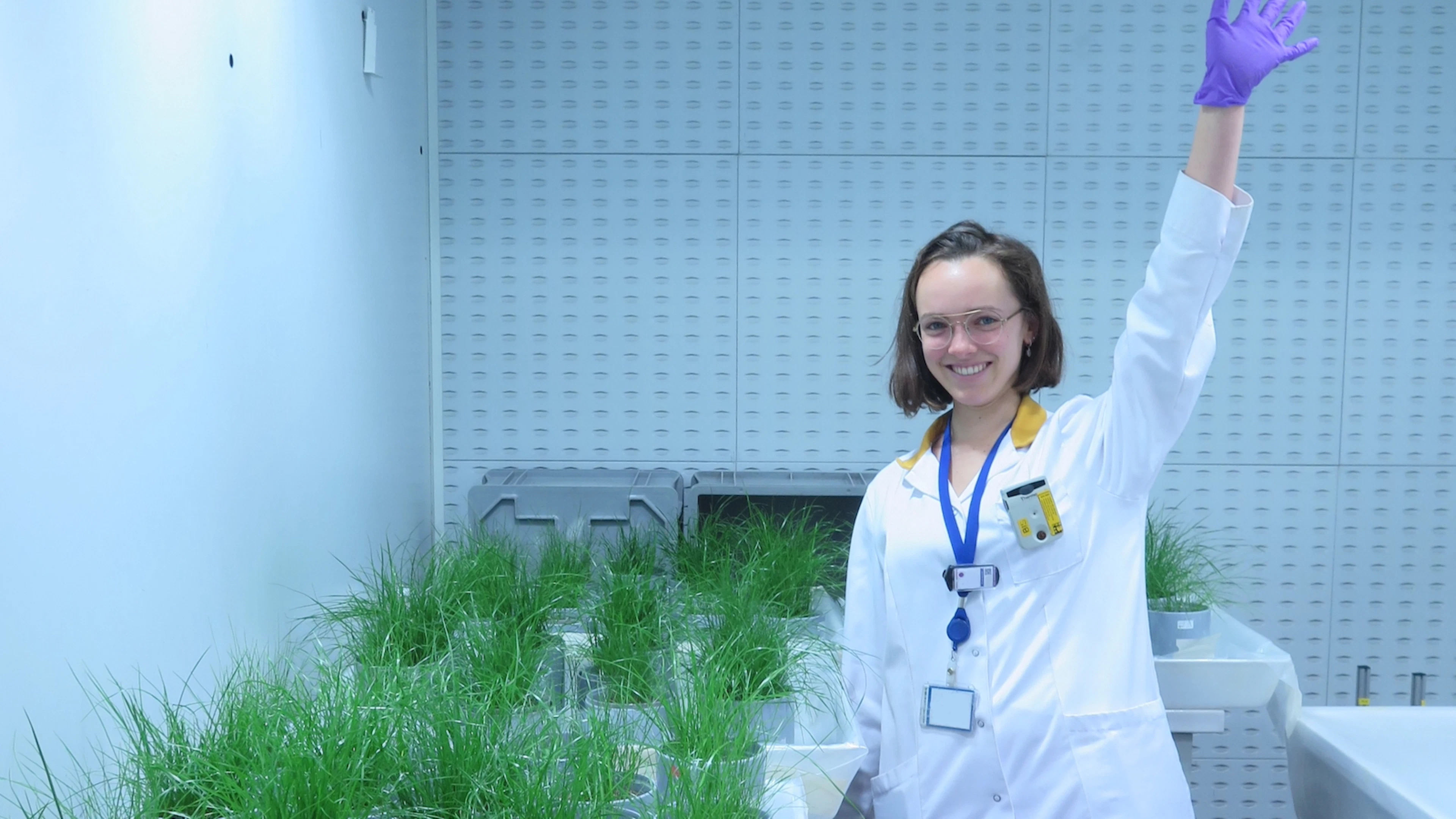 Laat het gras maar groeien ... op radioactieve bodems