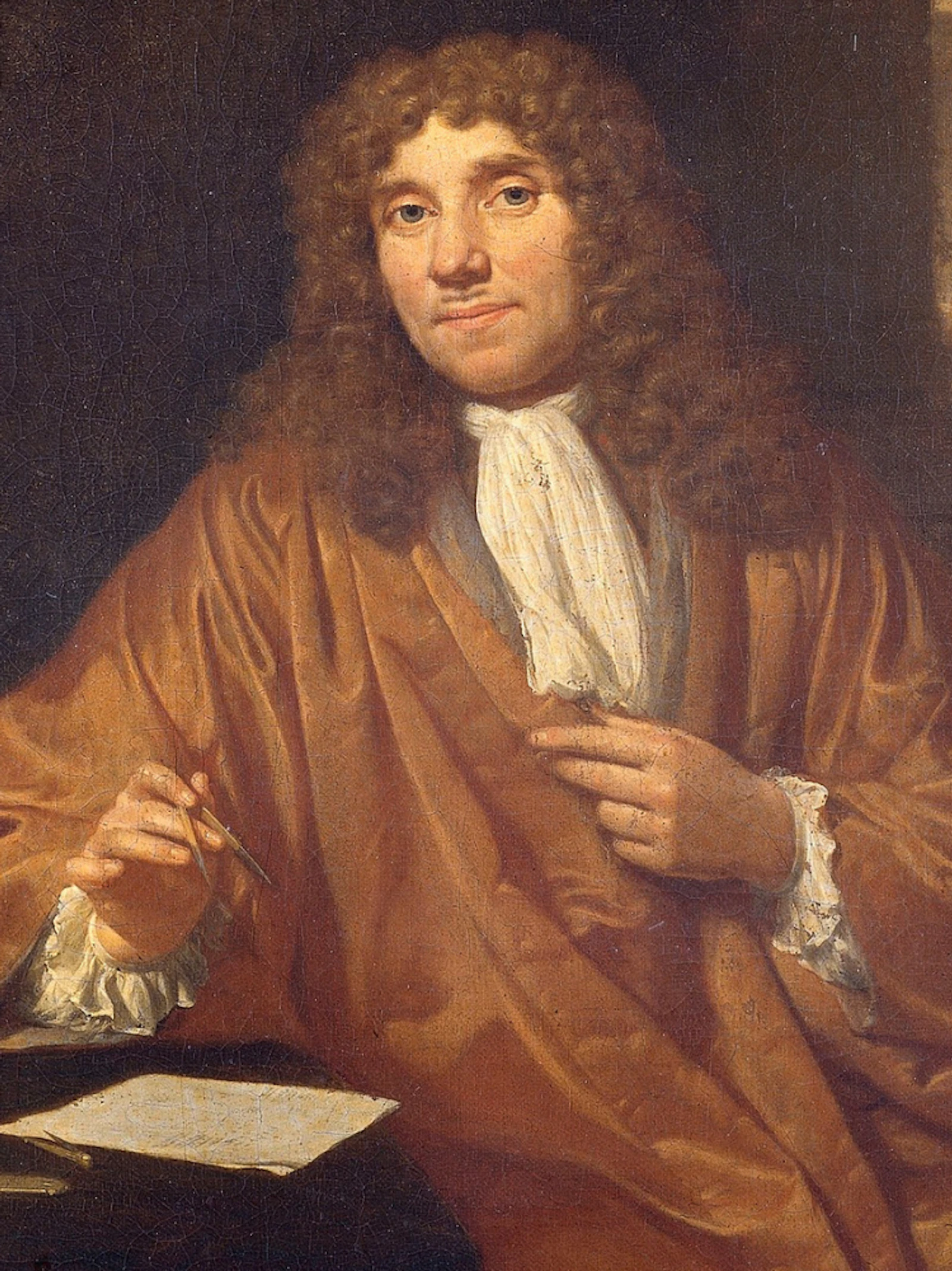 Antoni van Leeuwenhoek liet ons bacteriën, zaadcellen en facetogen van insecten zien