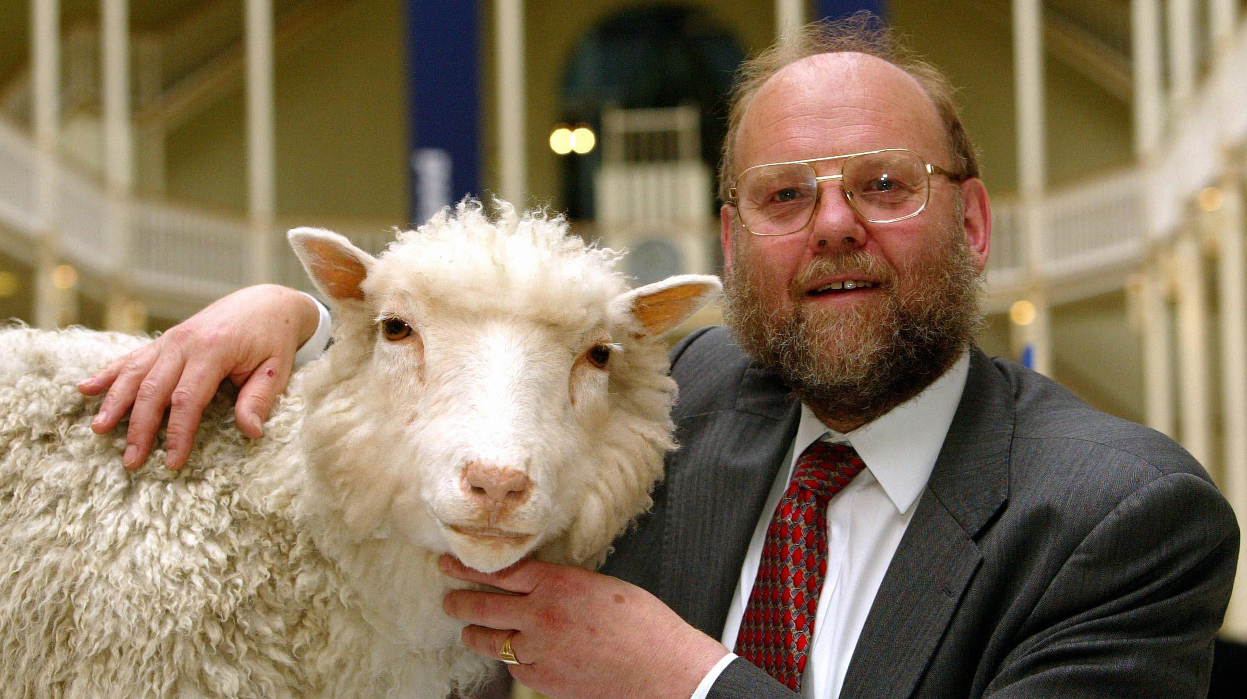 Ian Wilmut met het opgezette schaap Dolly in het Nationaal Museum van Schotland.