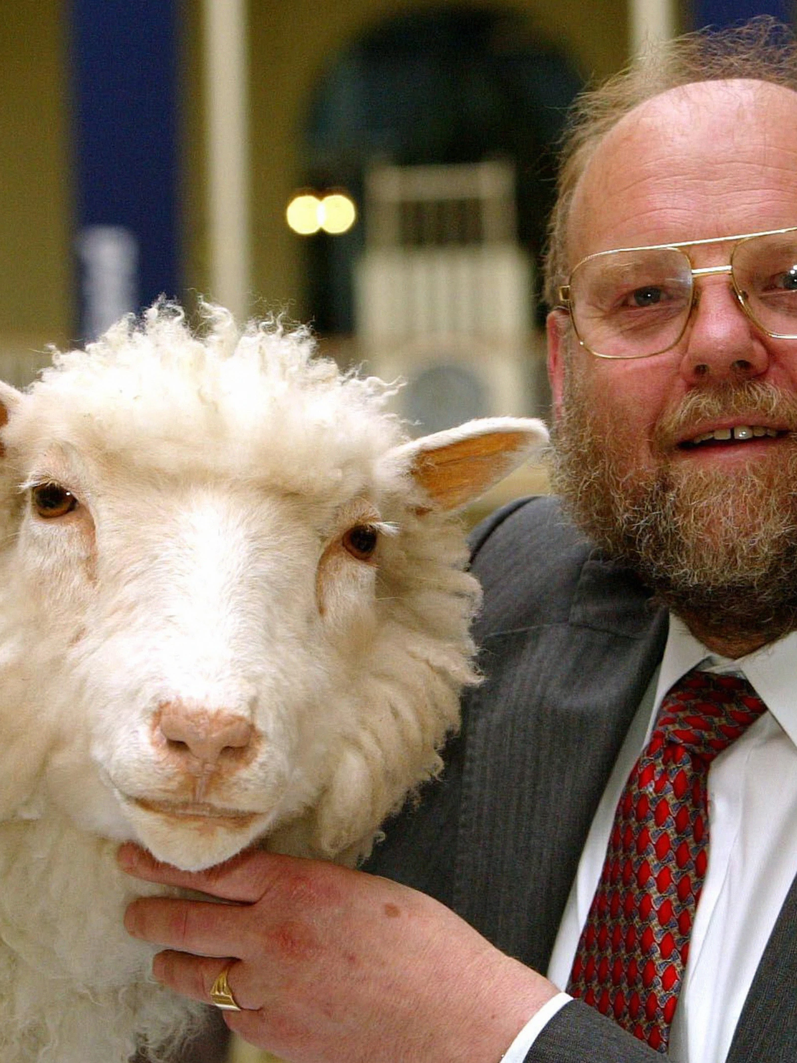 Ian Wilmut met het opgezette schaap Dolly in het Nationaal Museum van Schotland.