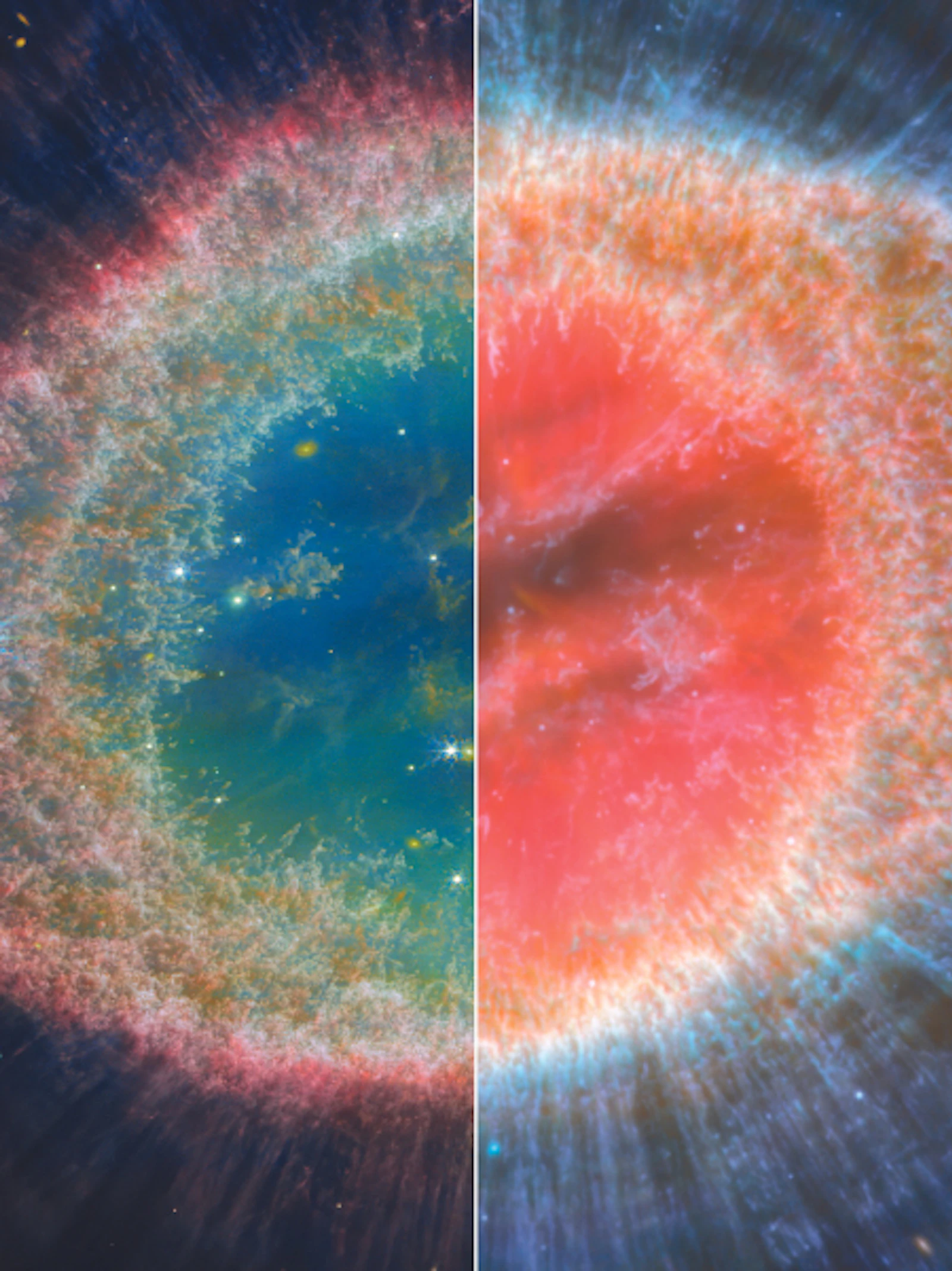 Ringnevel © NASA/ESA/CSA