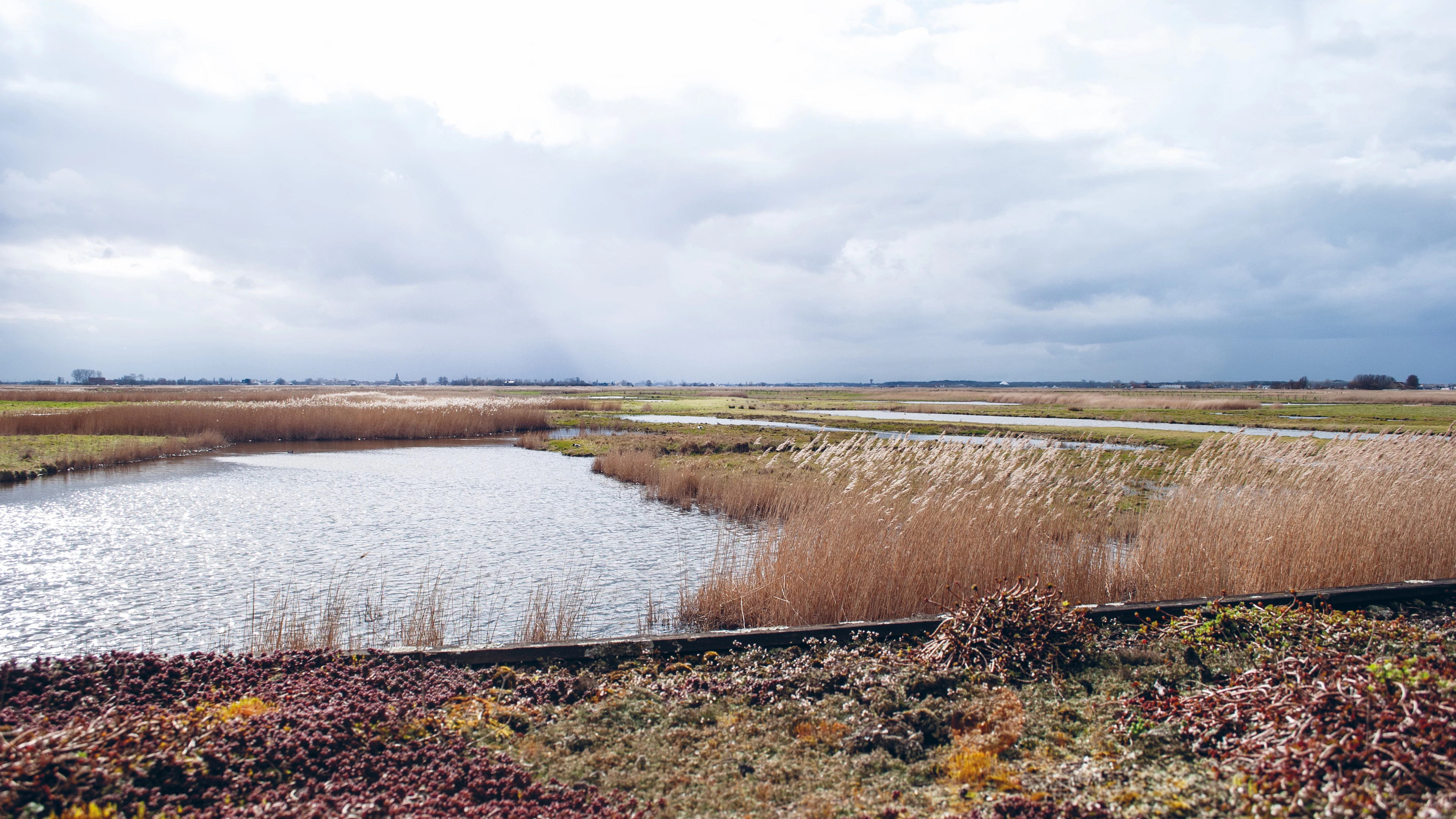 Tijd dringt voor Vlaamse wetlands