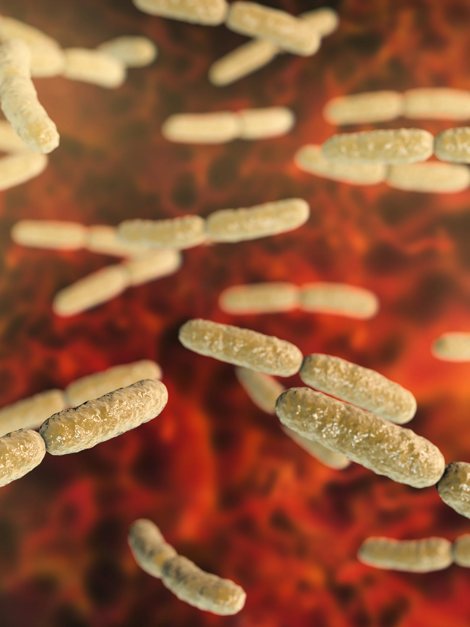 Deze bacterie beschermt je vagina tegen schimmelinfecties en de tamponziekte