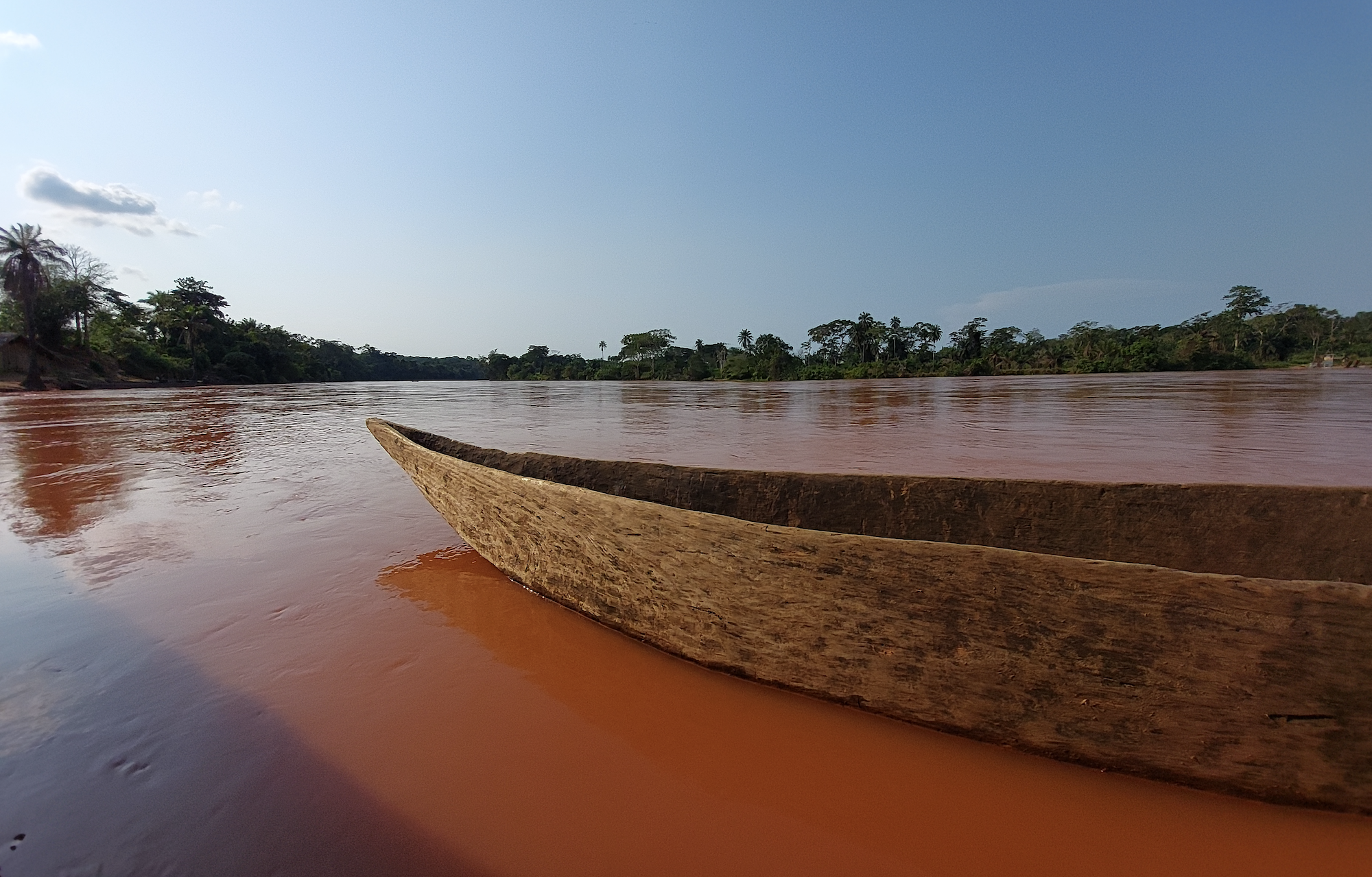 De taal kruipt waar ze niet gaan kan, toont de verspreiding van Bantoe in Afrika