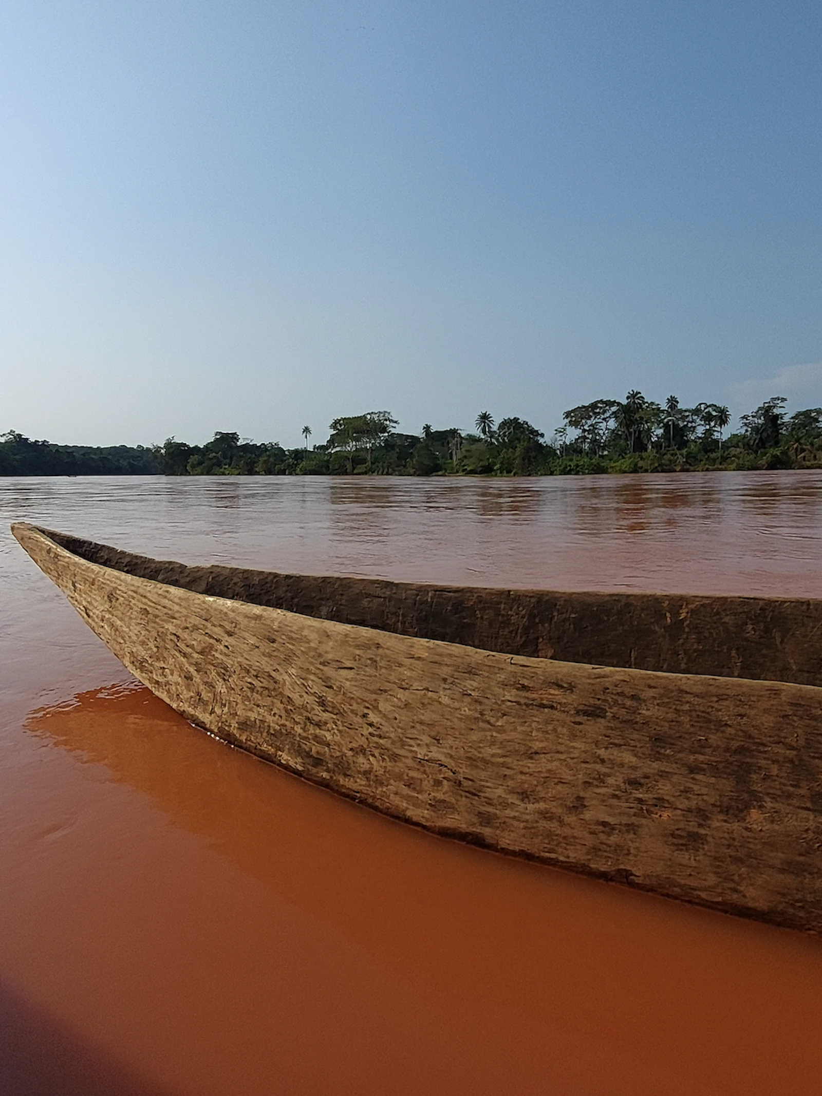 De taal kruipt waar ze niet gaan kan, toont de verspreiding van Bantoe in Afrika