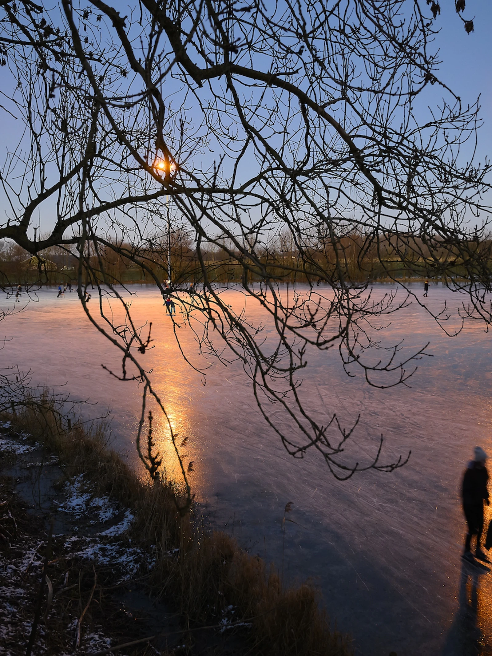 Beleven we binnenkort de eerste winter zonder vriestemperaturen?