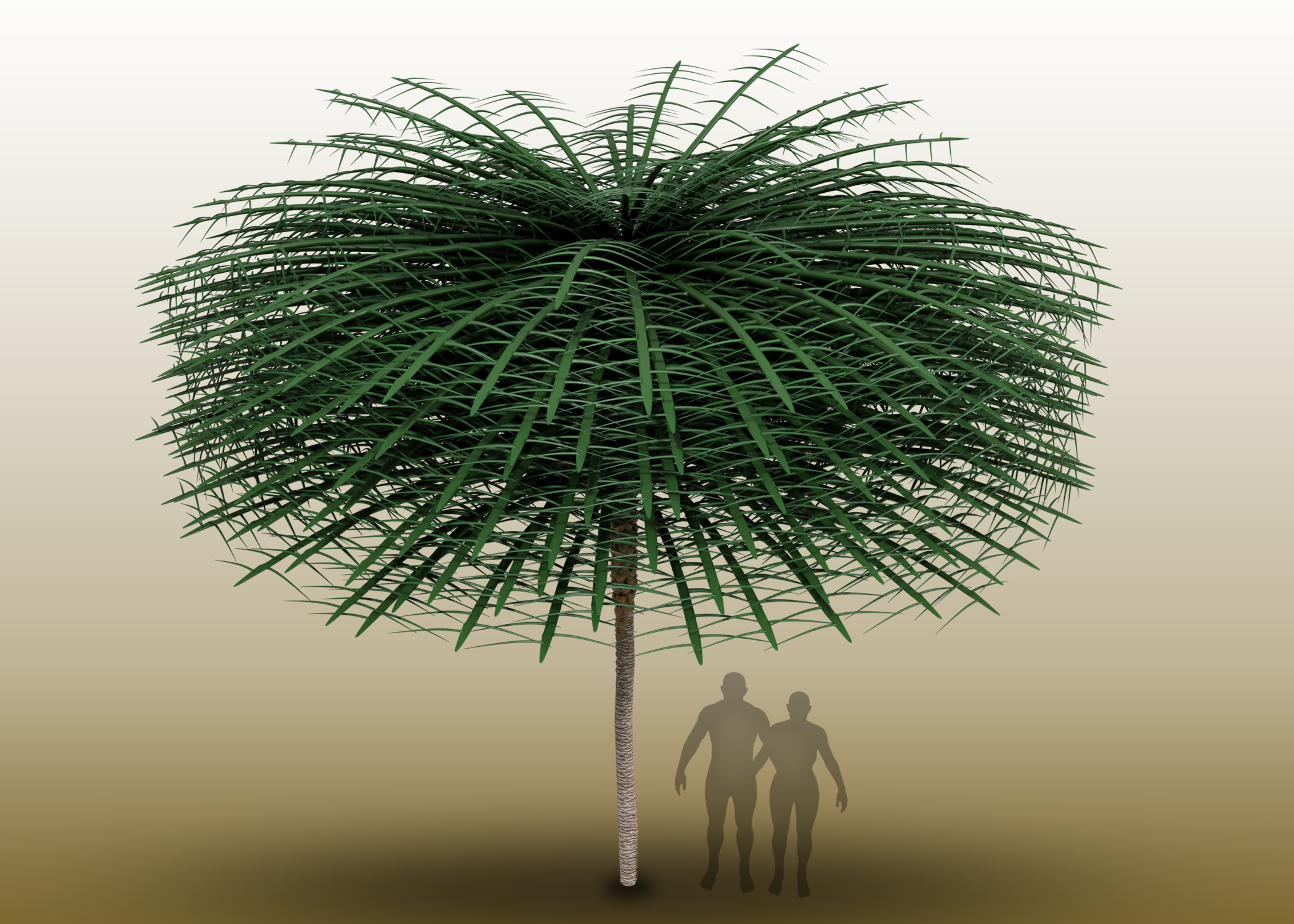 Deze prehistorische boom zag eruit als een vreemde flessenborstel