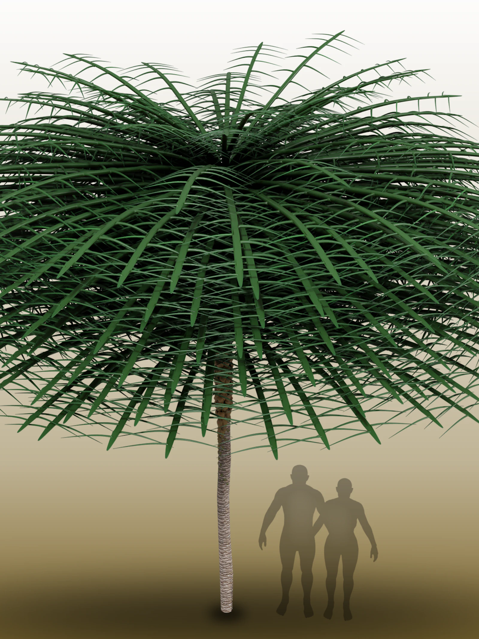 Deze prehistorische boom zag eruit als een vreemde flessenborstel