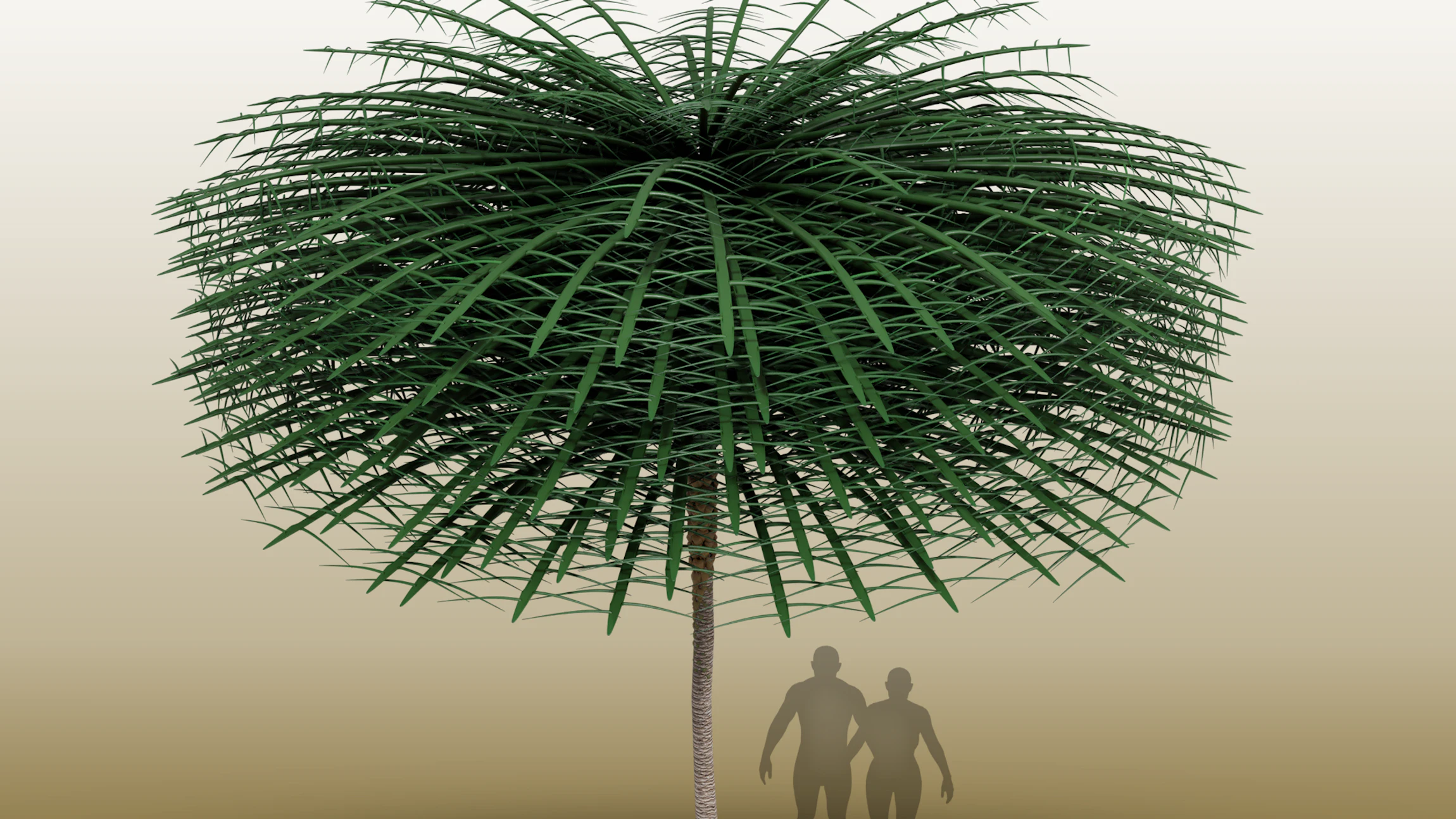 Deze prehistorische boom zag eruit als een vreemde flessenborstel