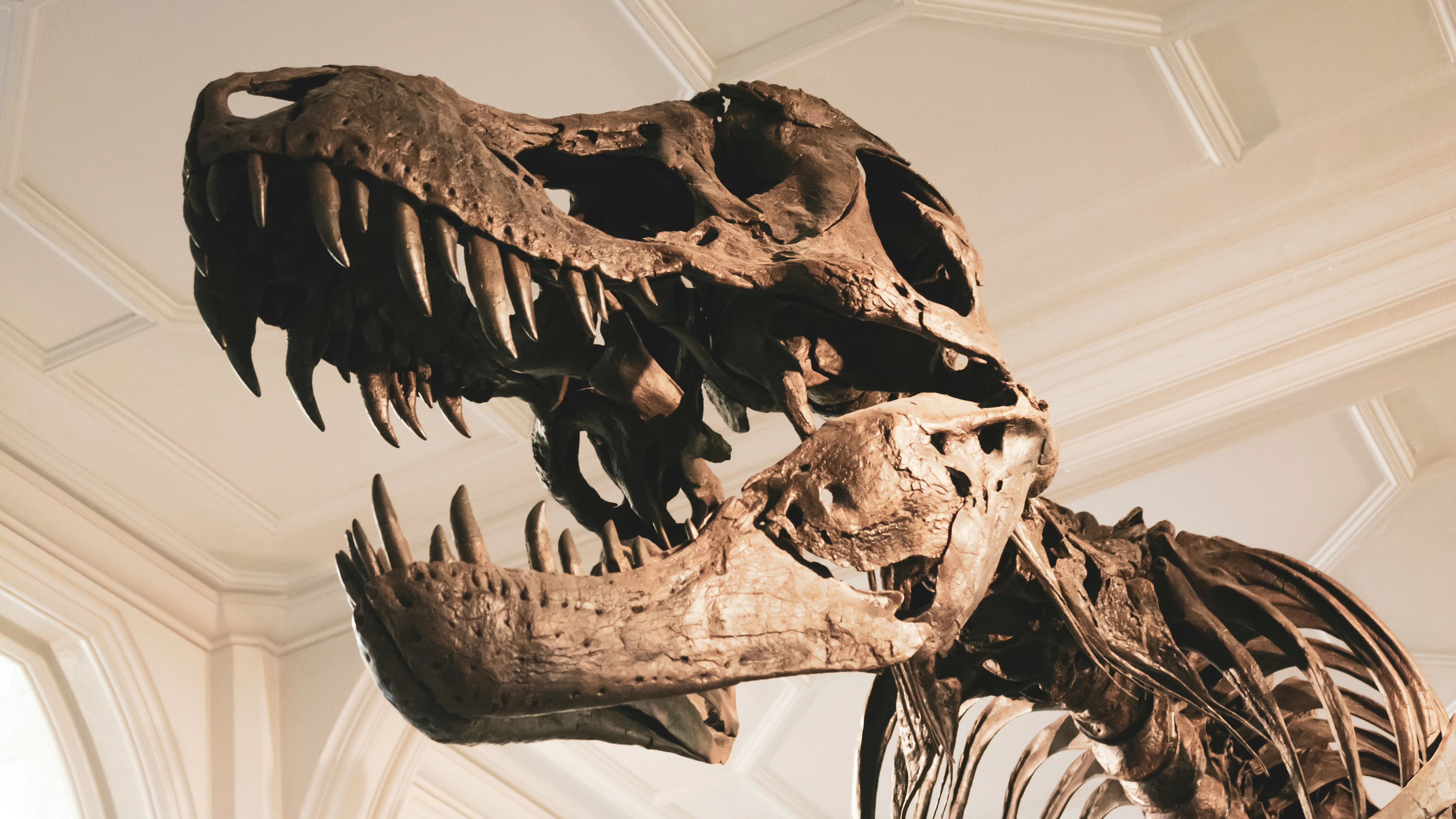 We halen de 200 niet en dat is misschien wel de schuld van de dino’s