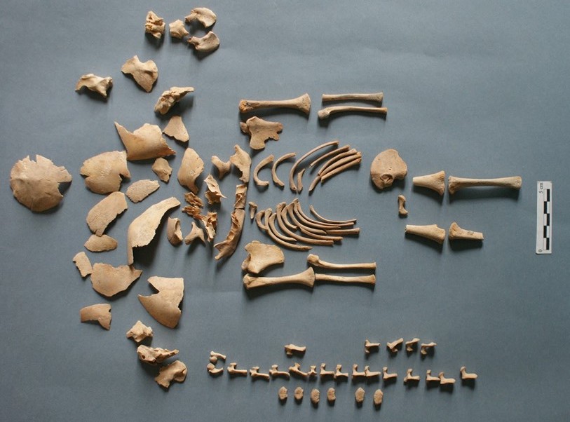 Prehistorische baby's met het downsyndroom kregen dezelfde begravingsrituelen