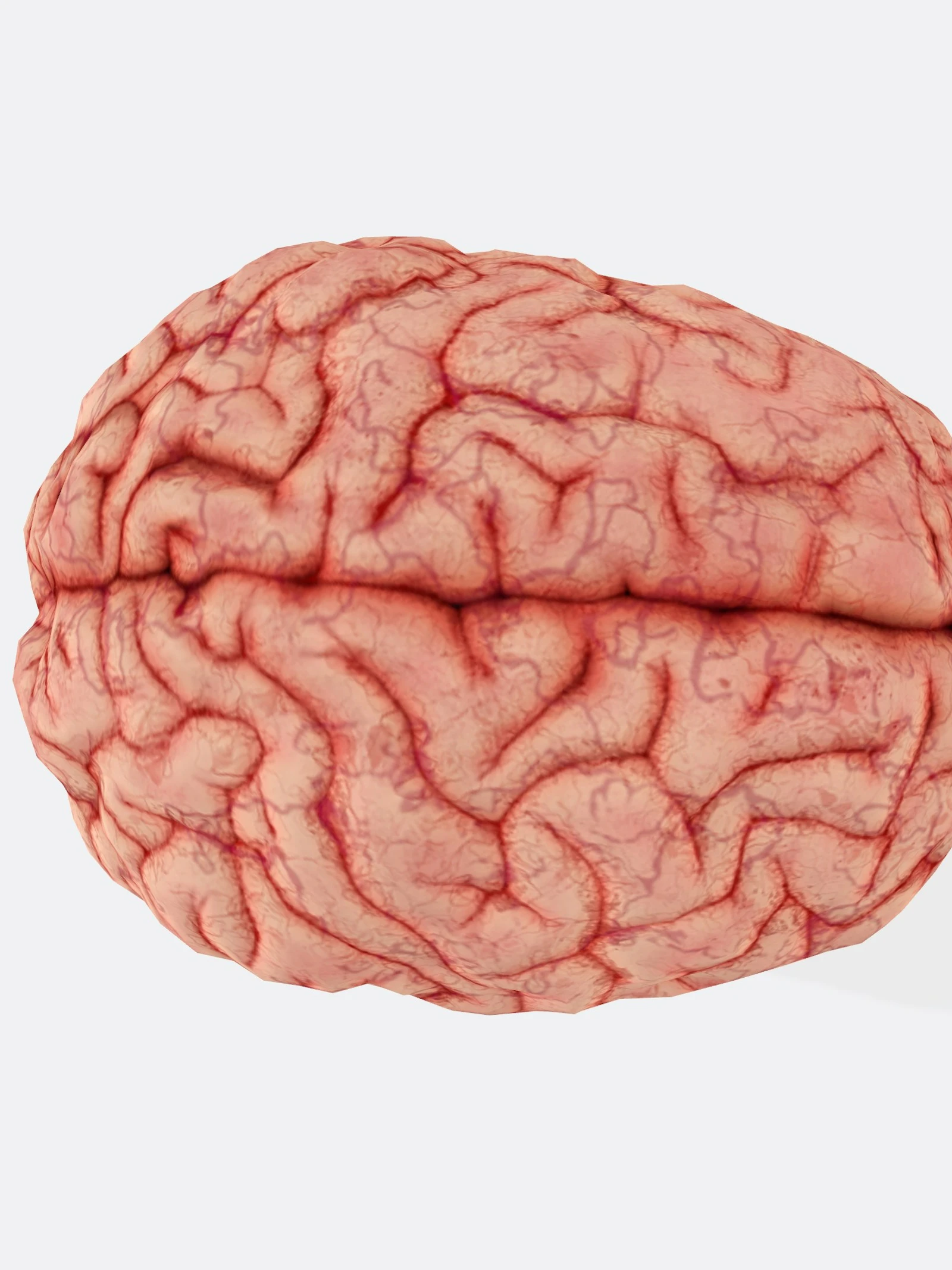 Ge-3D-print hersenweefsel maakt onderzoek naar alzheimer en parkinson makkelijker
