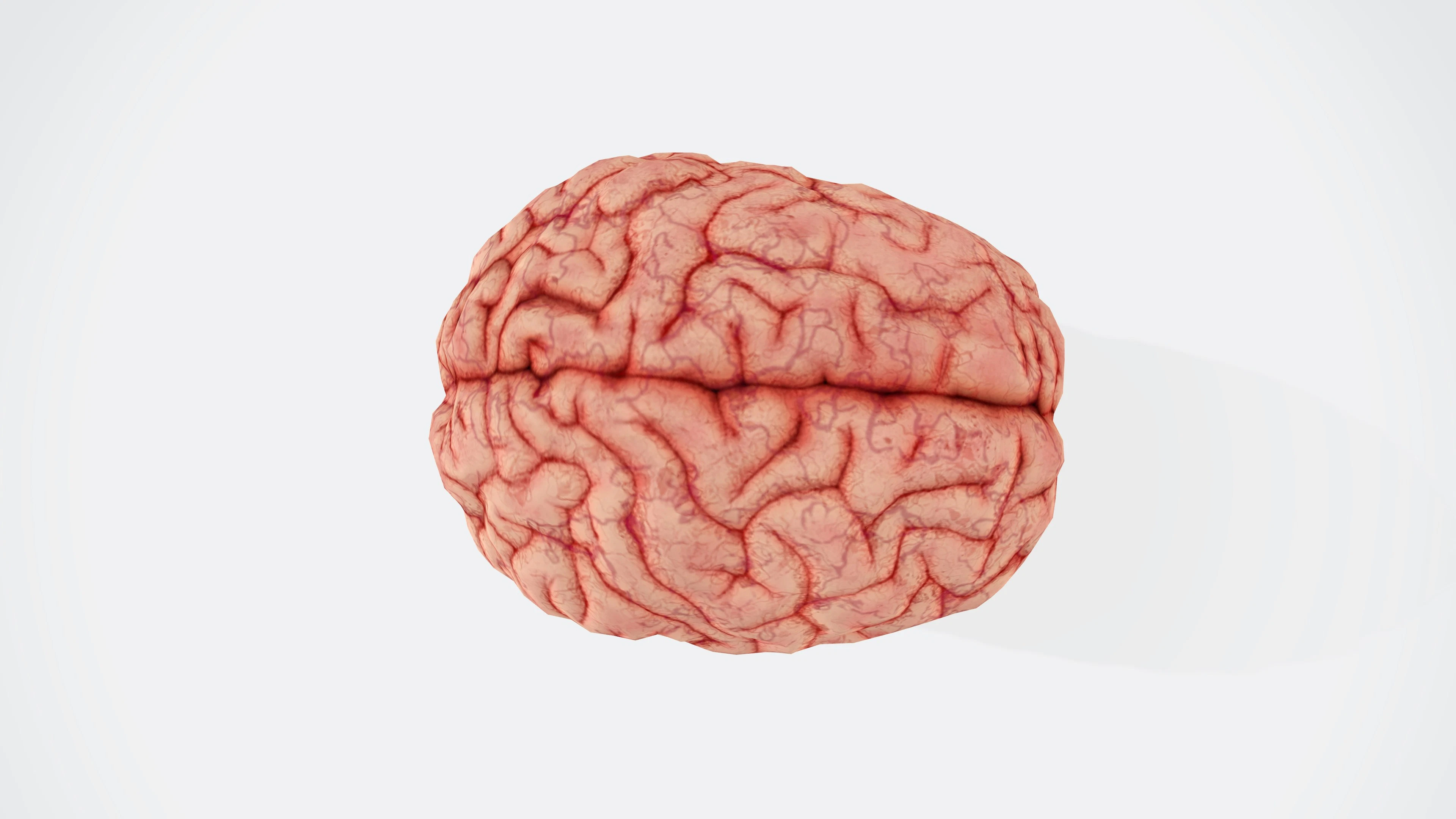 Ge-3D-print hersenweefsel maakt onderzoek naar alzheimer en parkinson makkelijker