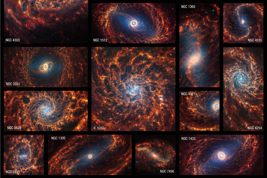 Een collage van kosmisch leven