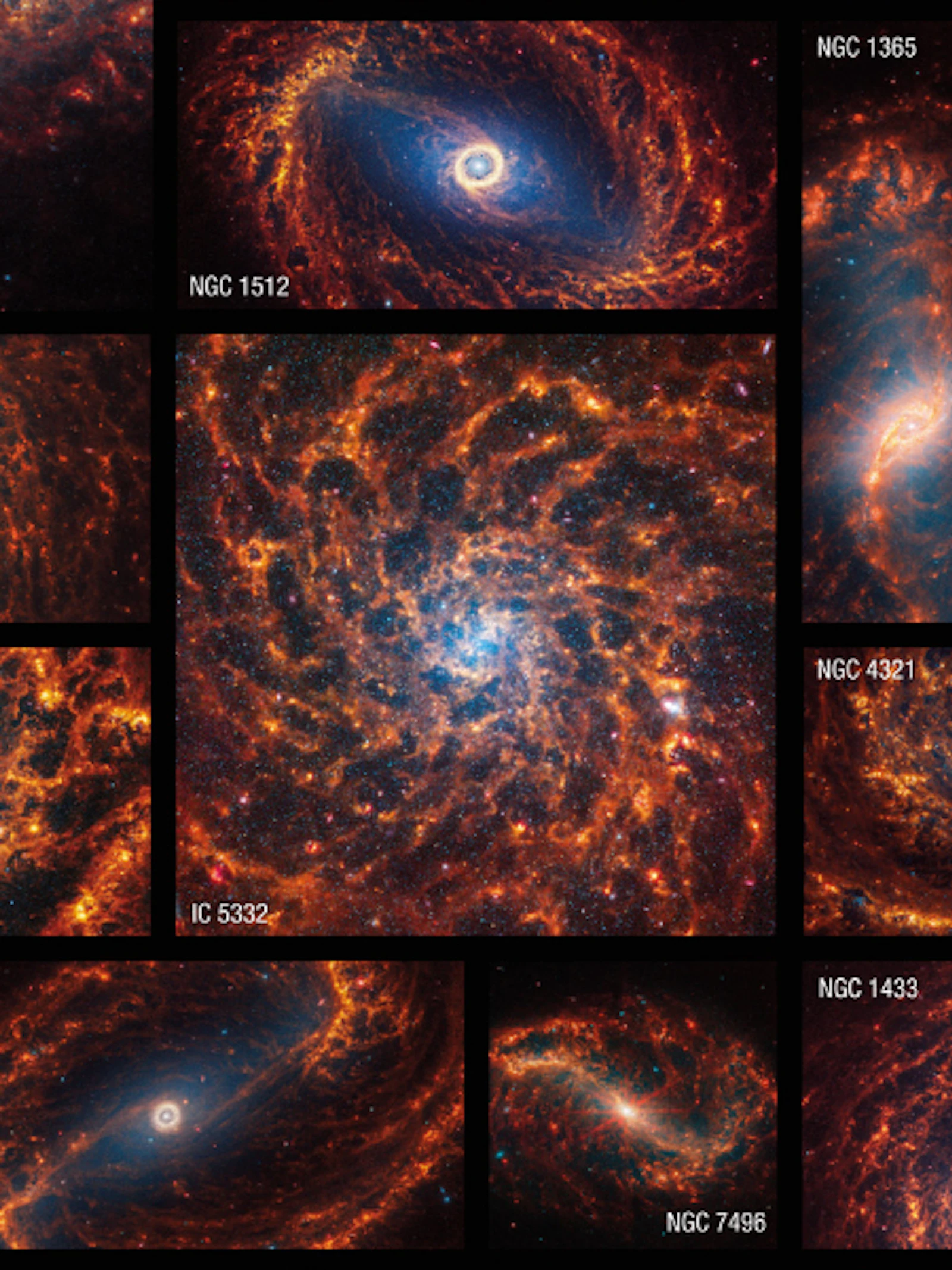 Een collage van kosmisch leven