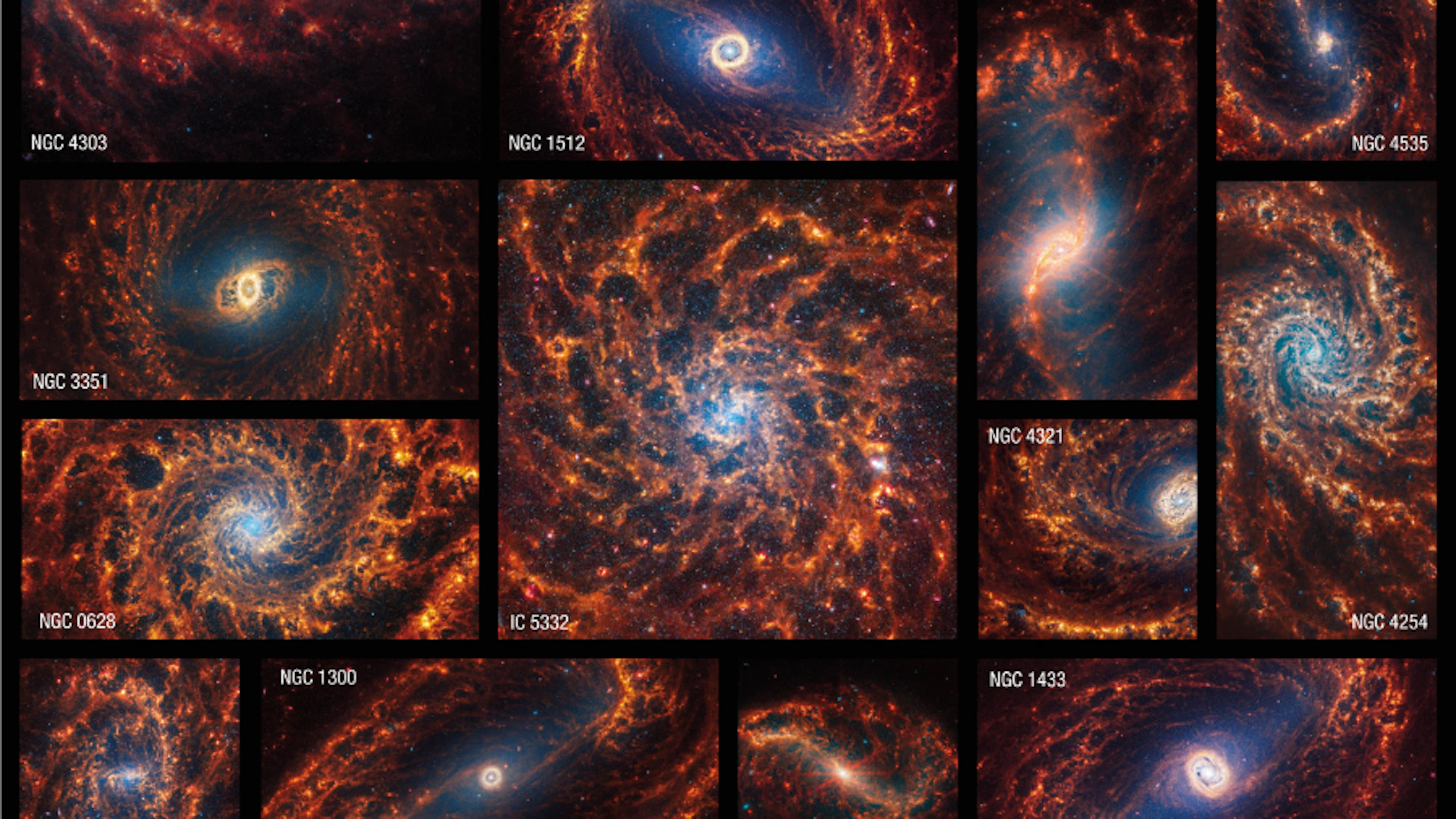 Een collage van kosmisch leven