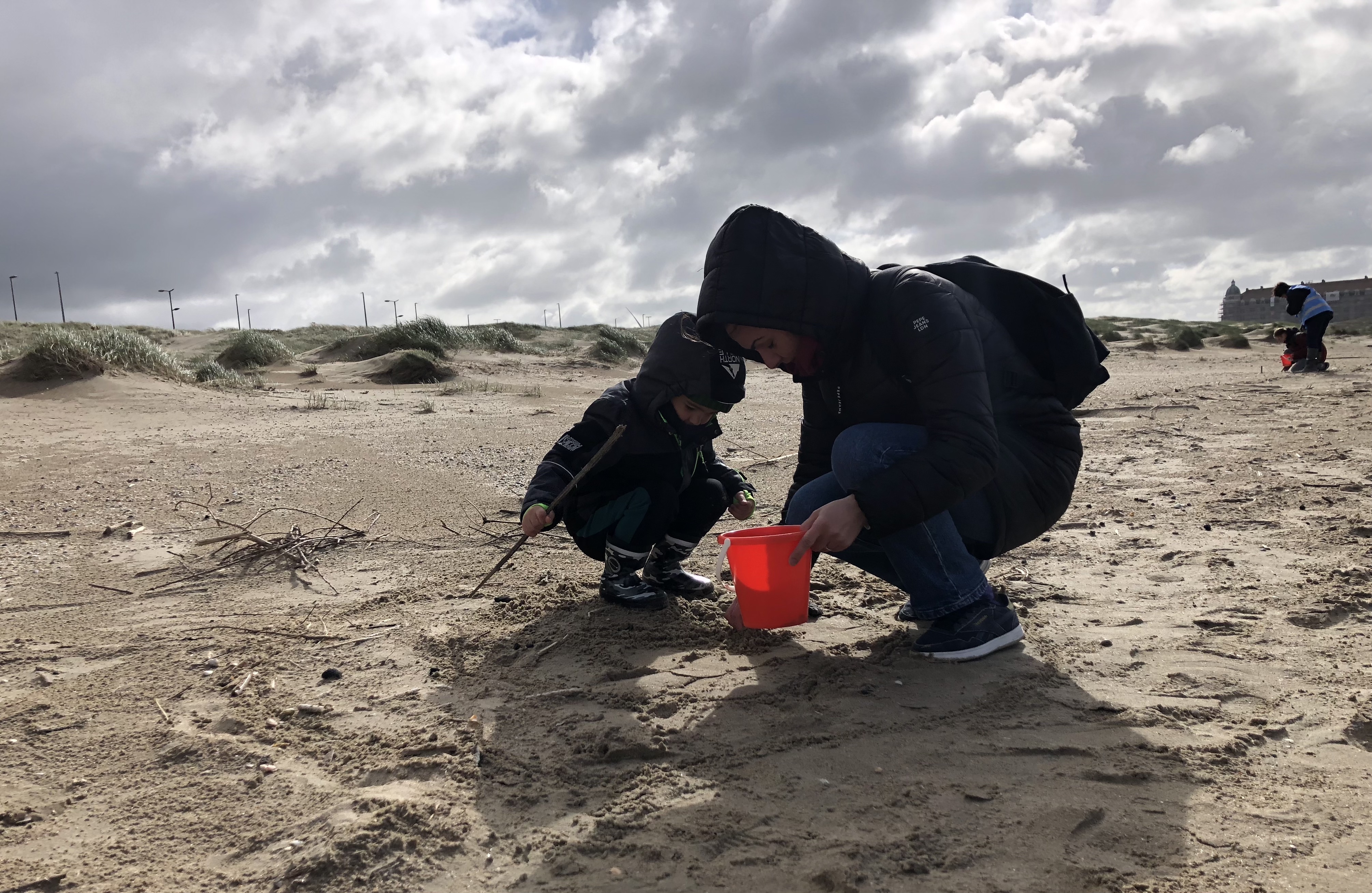 Bijna een op tien schelpen aan onze kust is exoot, blijkt uit resultaten van Grote Schelptenteldag