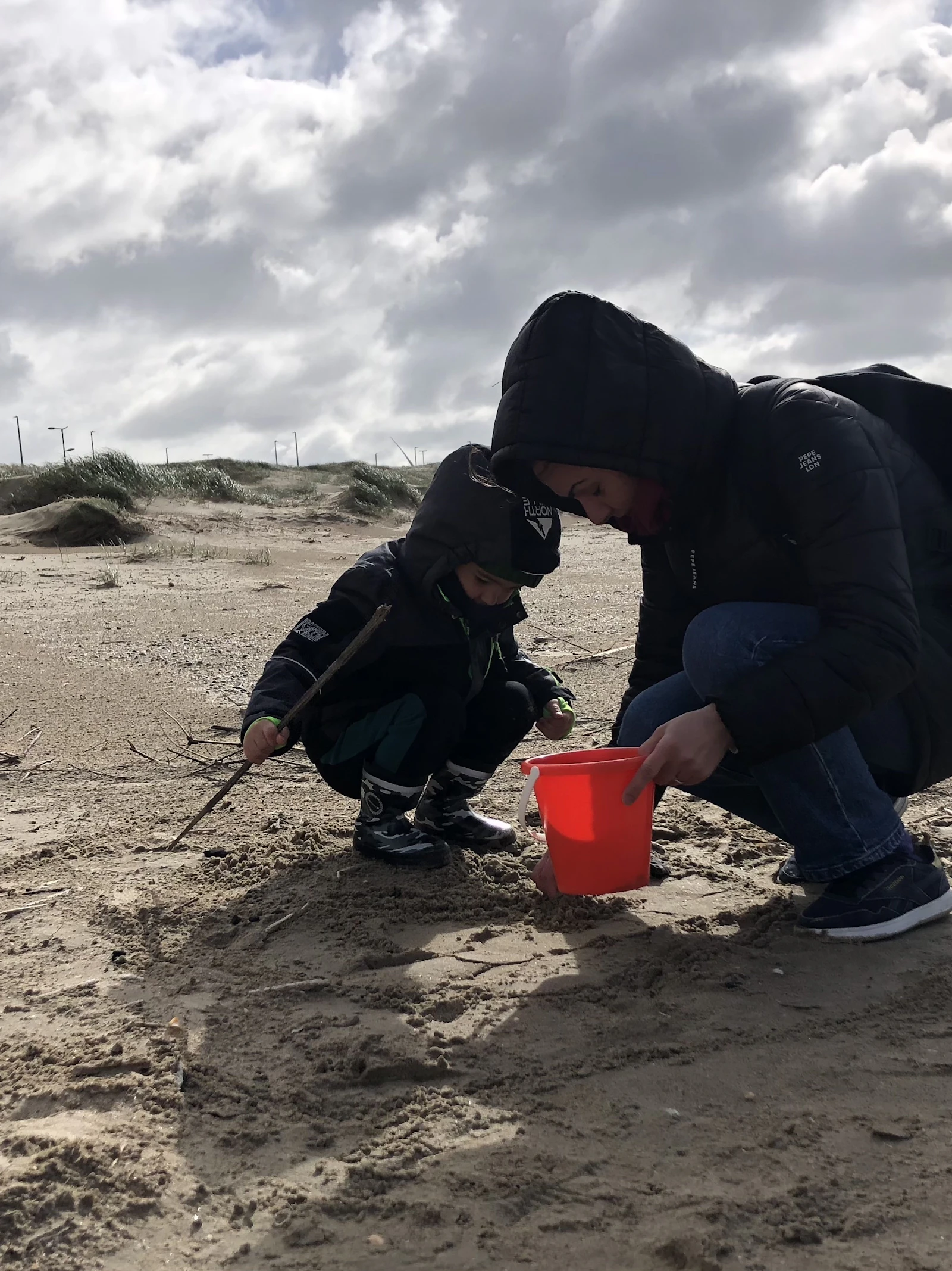 Bijna een op tien schelpen aan onze kust is exoot, blijkt uit resultaten van Grote Schelptenteldag