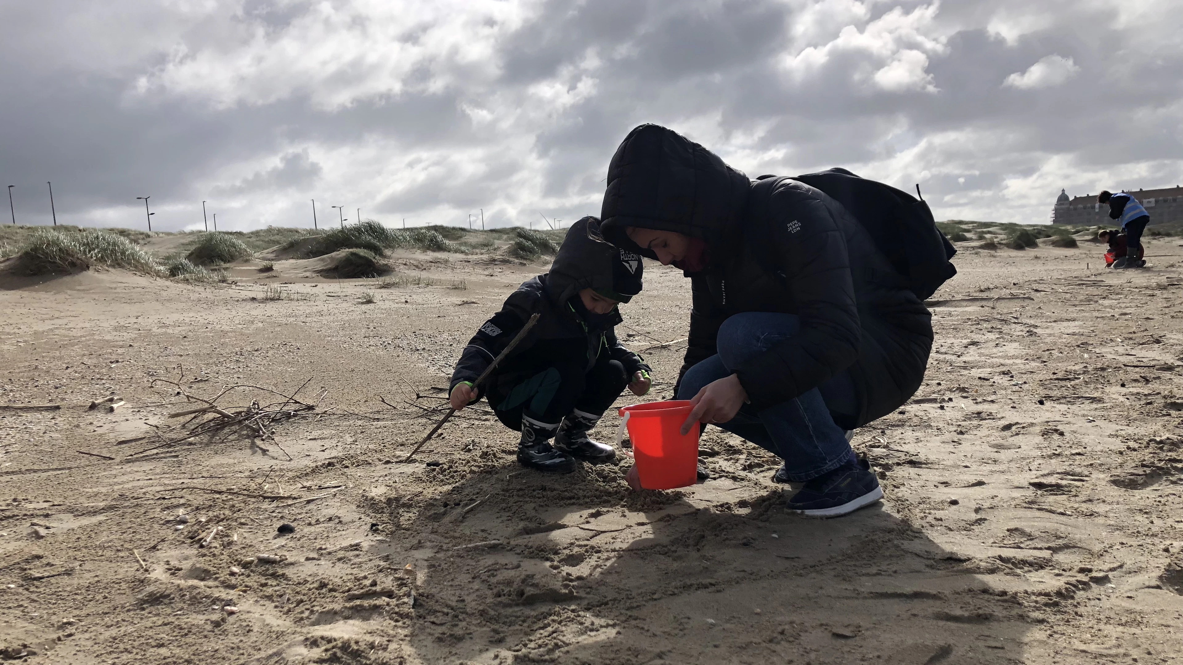 Bijna een op tien schelpen aan onze kust is exoot, blijkt uit resultaten van Grote Schelptenteldag