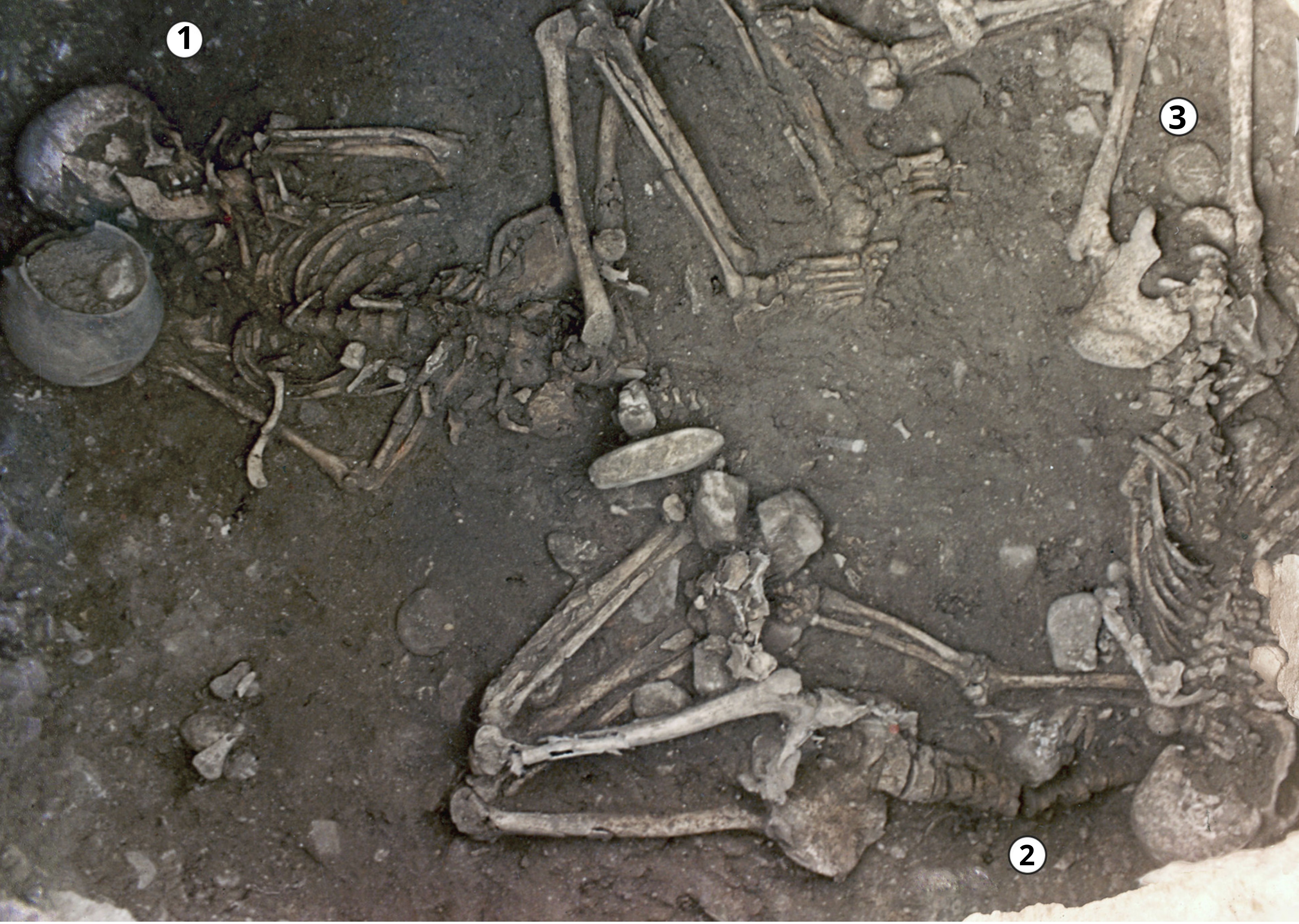 Archeologen ontdekken gruwelijke marteling van prehistorische vrouwen in Zuid-Frankrijk