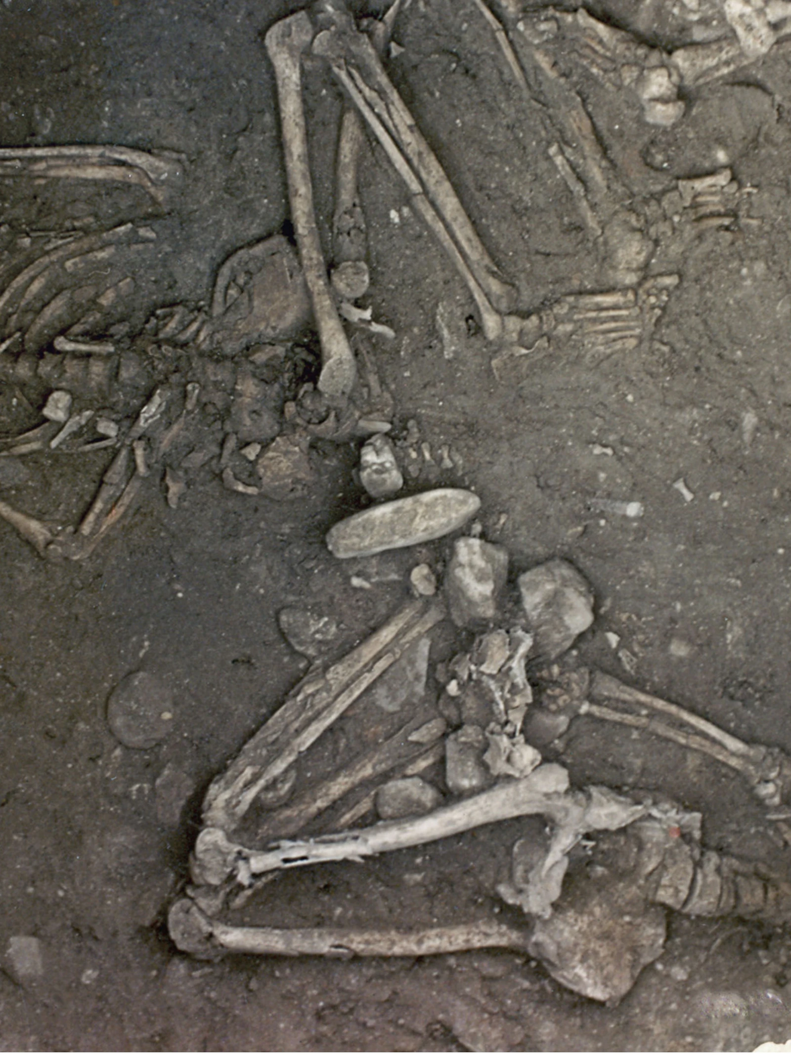 Archeologen ontdekken gruwelijke marteling van prehistorische vrouwen in Zuid-Frankrijk