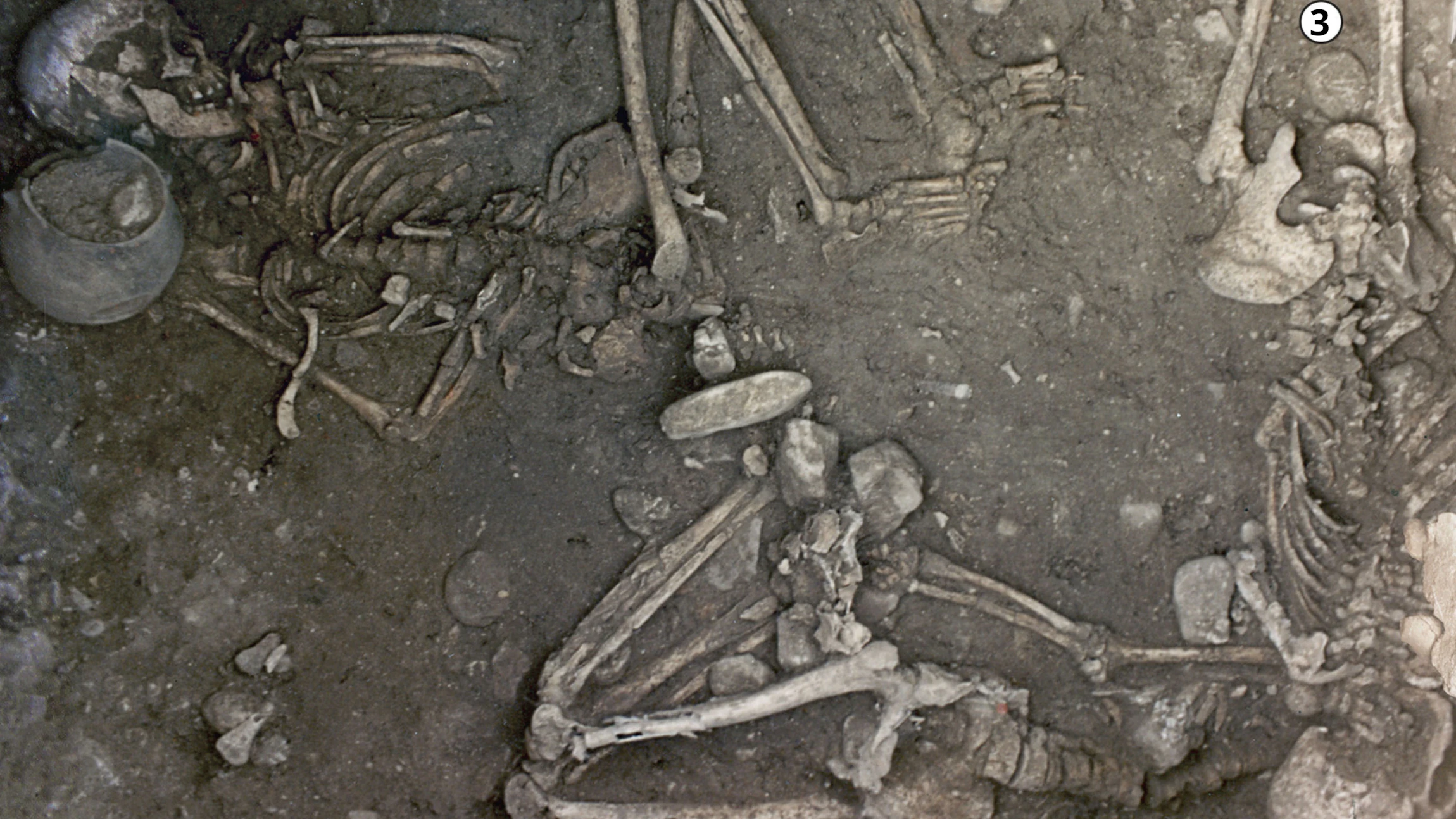 Archeologen ontdekken gruwelijke marteling van prehistorische vrouwen in Zuid-Frankrijk