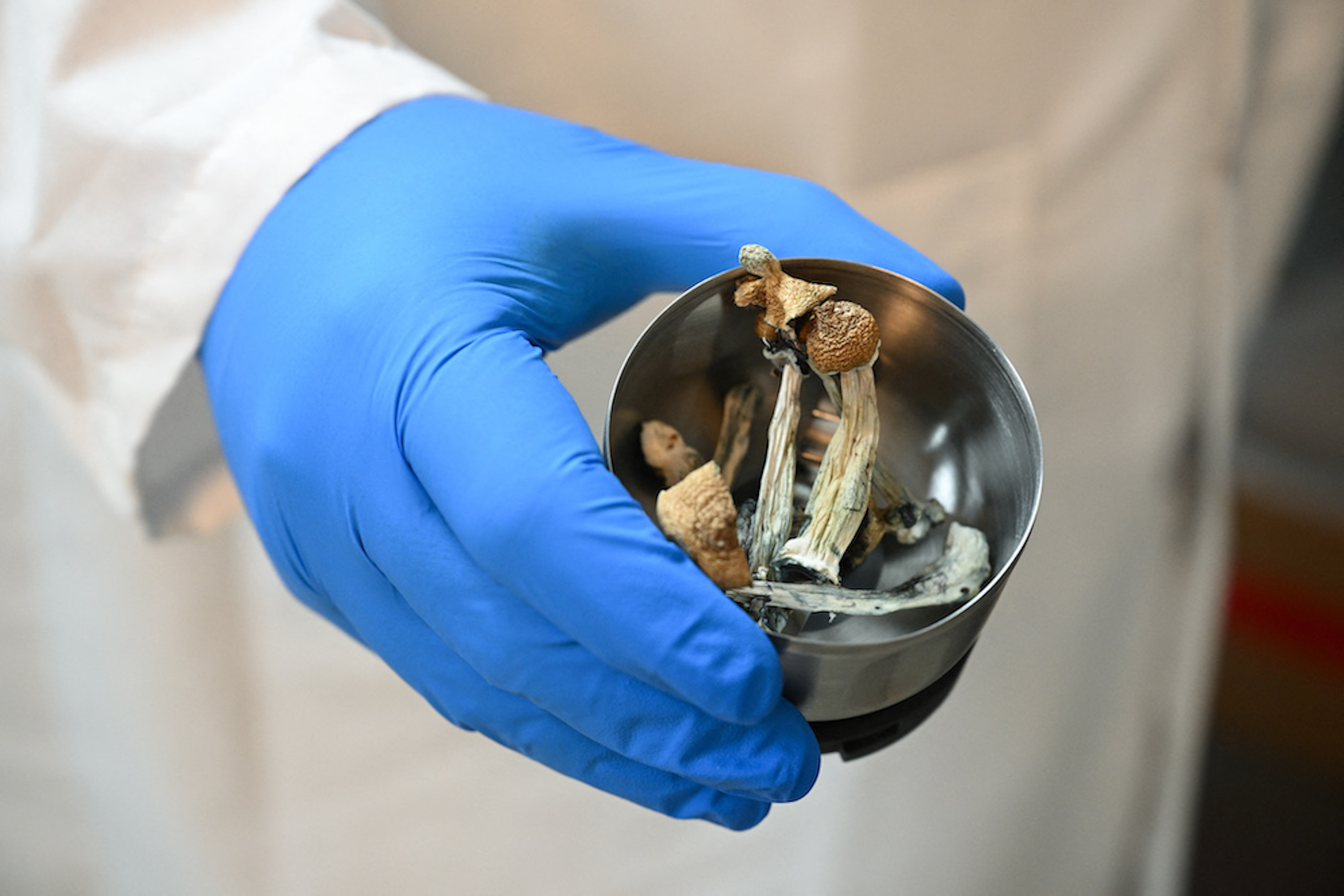 Welk effect hebben psychedelische paddenstoelen op het brein?