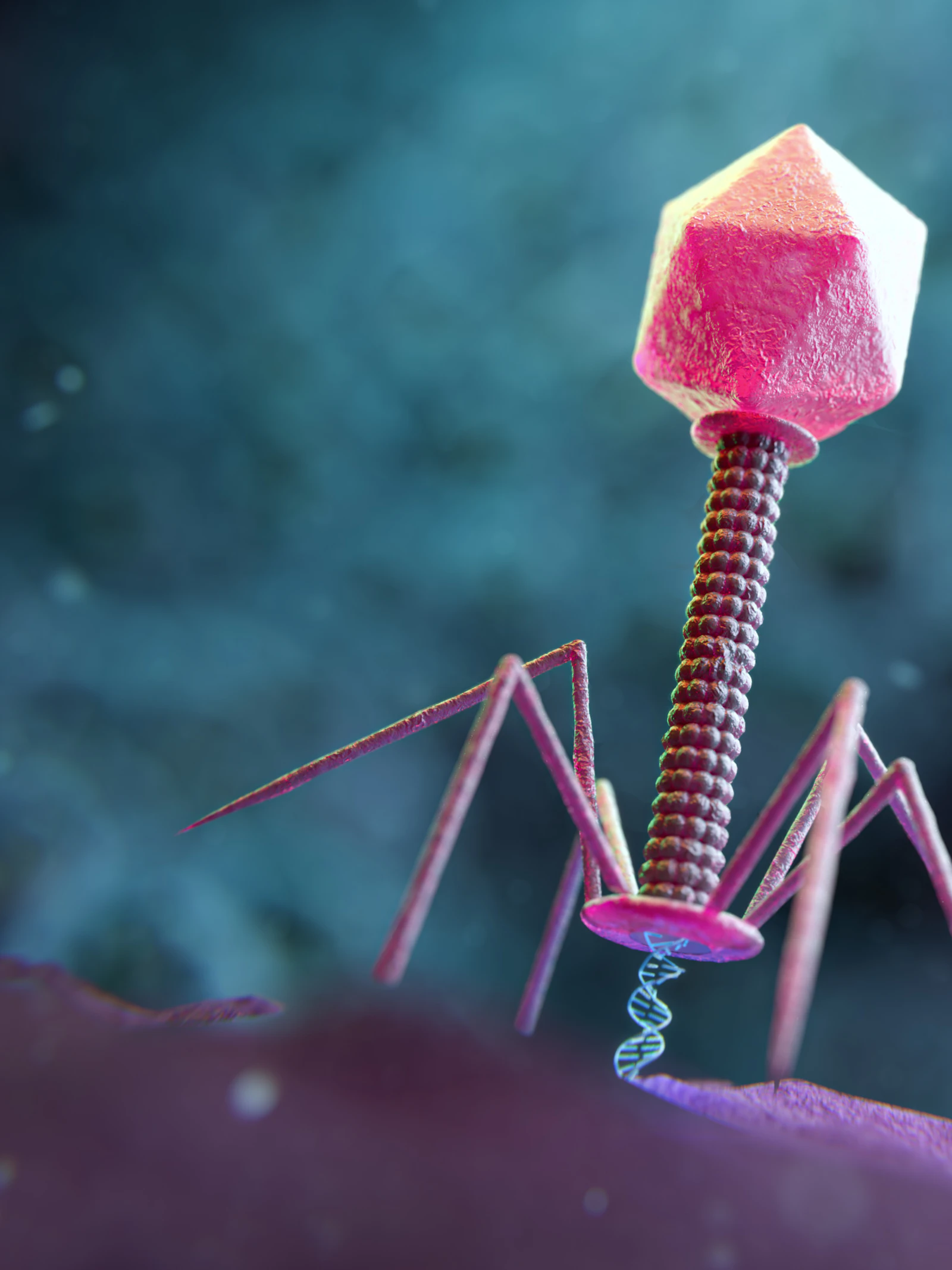 Hoe virussen kunnen helpen in de strijd tegen antibioticaresistentie