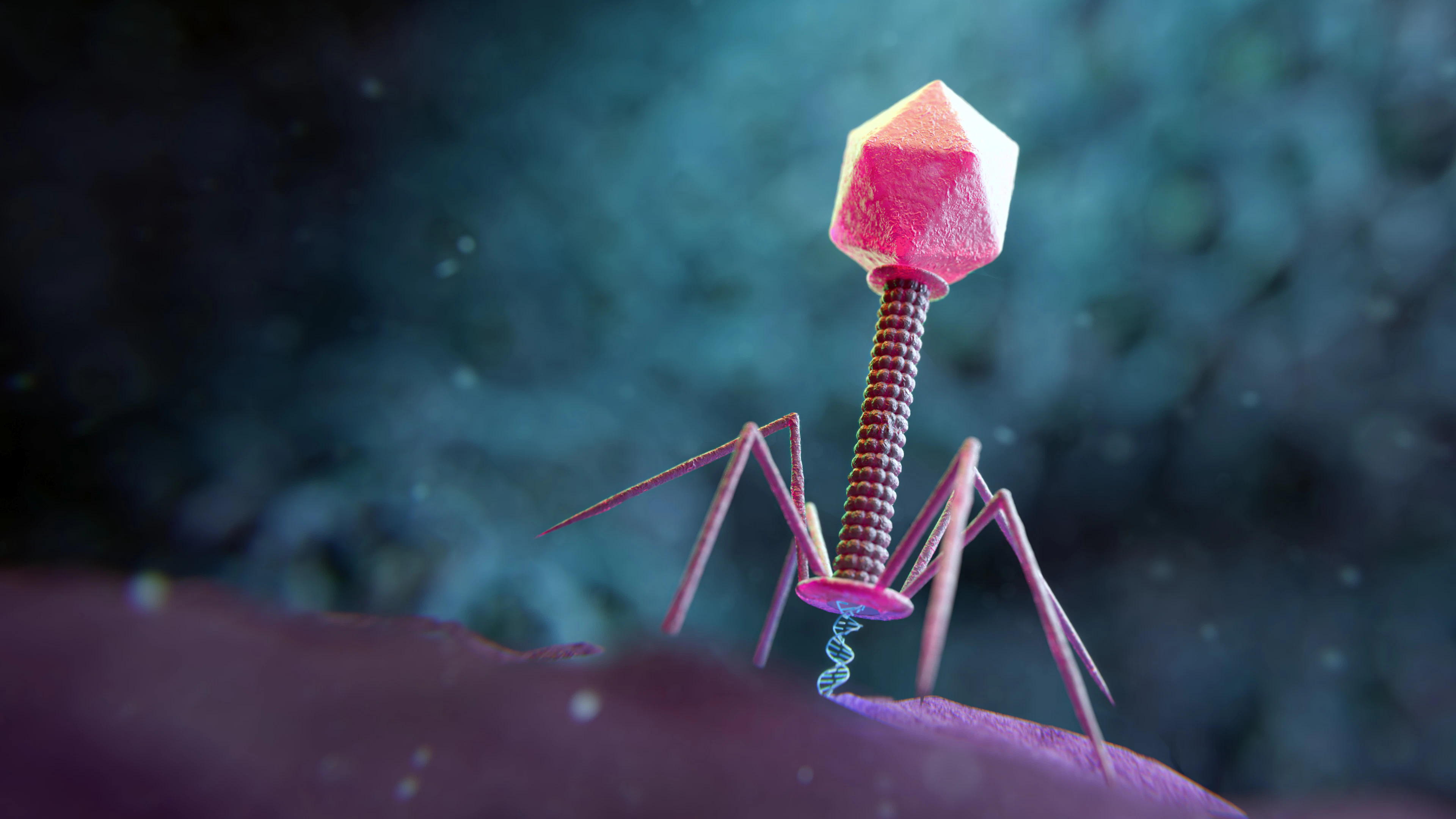 Hoe virussen kunnen helpen in de strijd tegen antibioticaresistentie