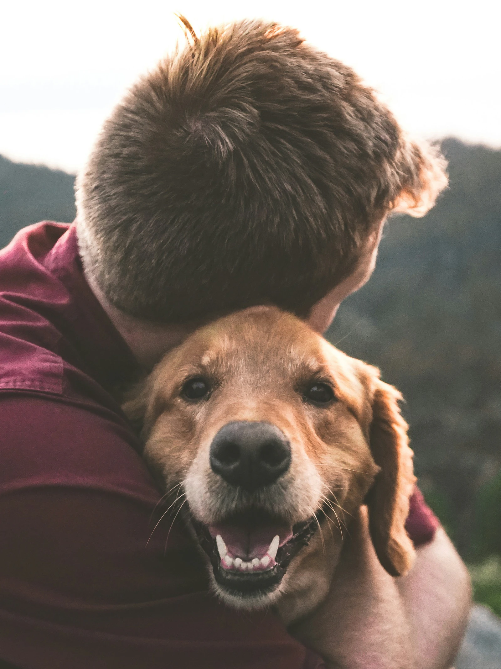 Begrijpt mijn hond mij?