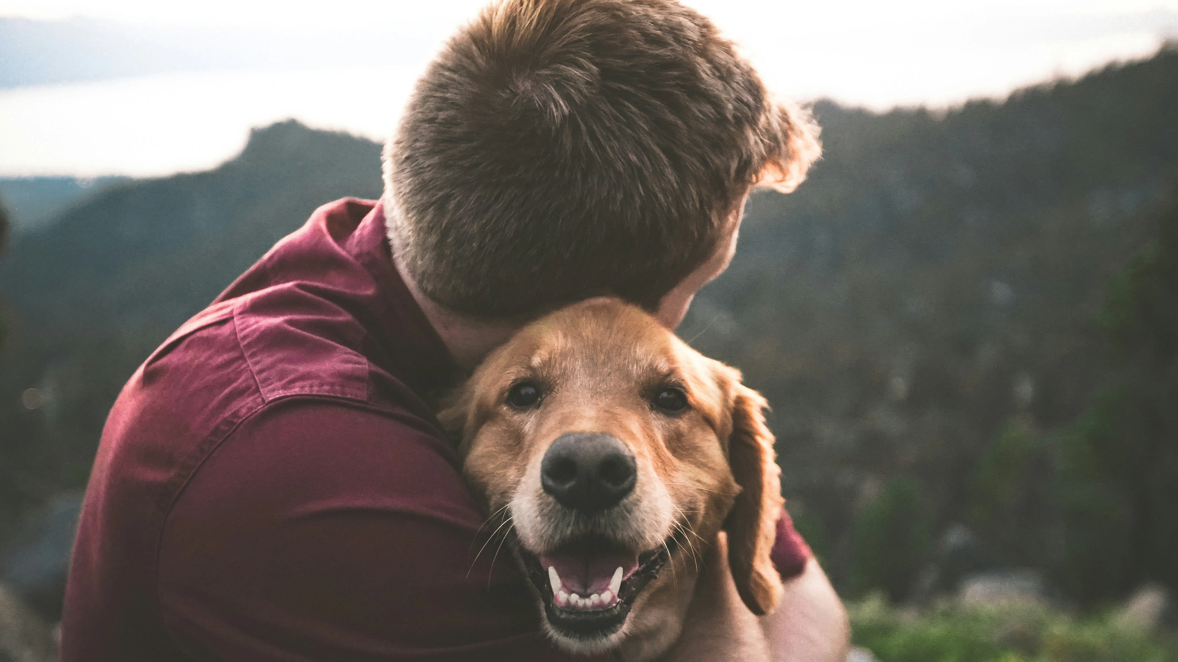 Begrijpt mijn hond mij?