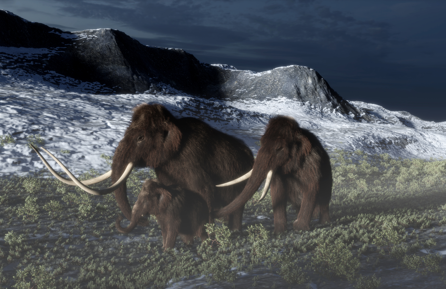 Niet het klimaat, maar de mens was schuldig aan het verdwijnen van de megafauna