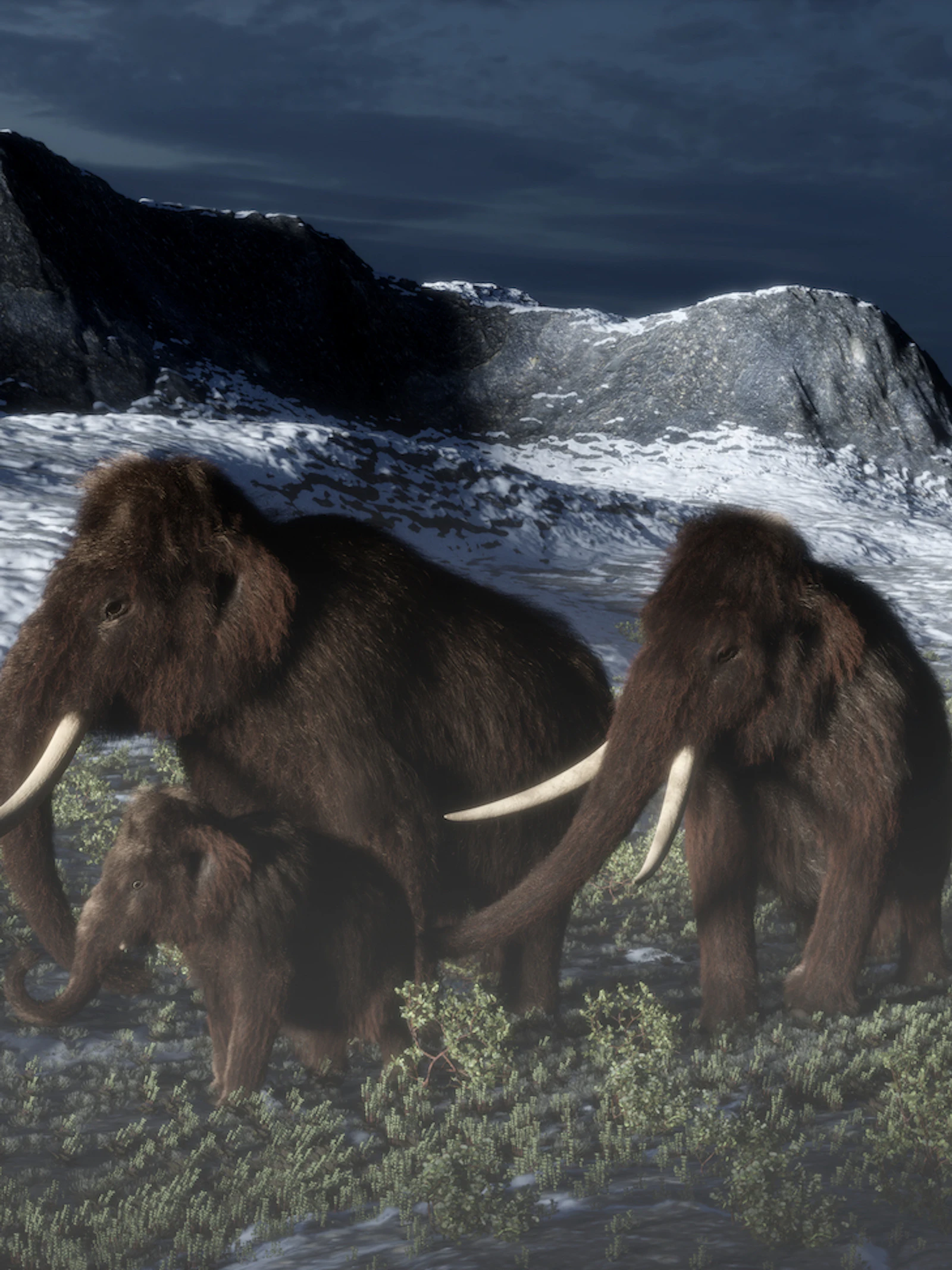 Niet het klimaat, maar de mens was schuldig aan het verdwijnen van de megafauna