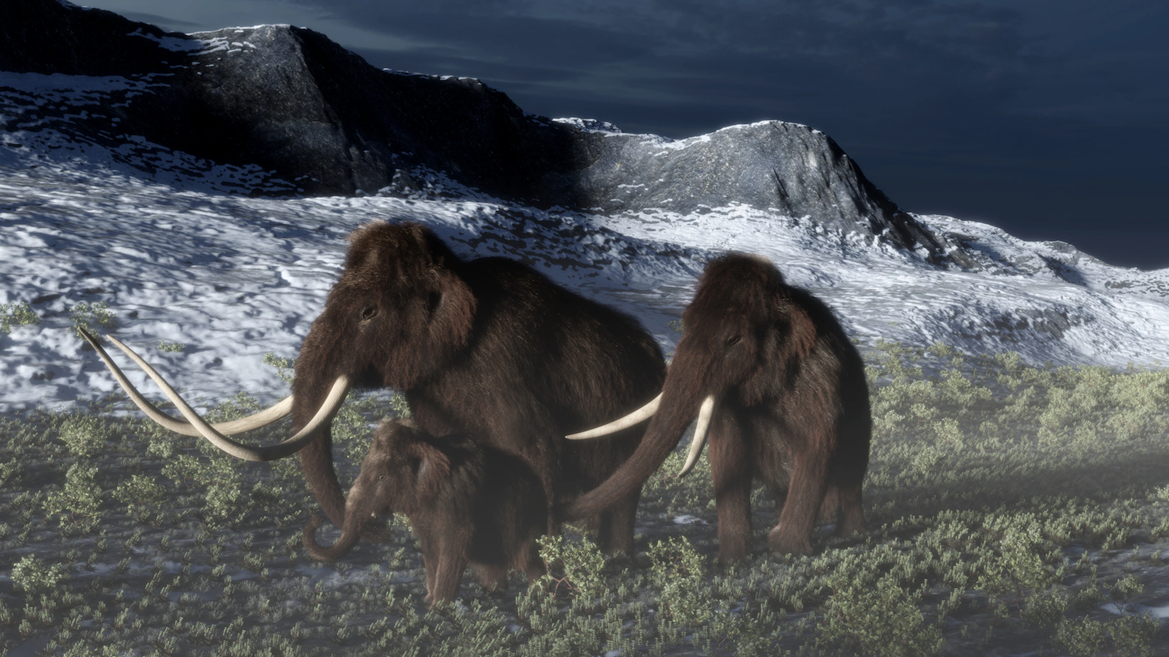 Niet het klimaat, maar de mens was schuldig aan het verdwijnen van de megafauna