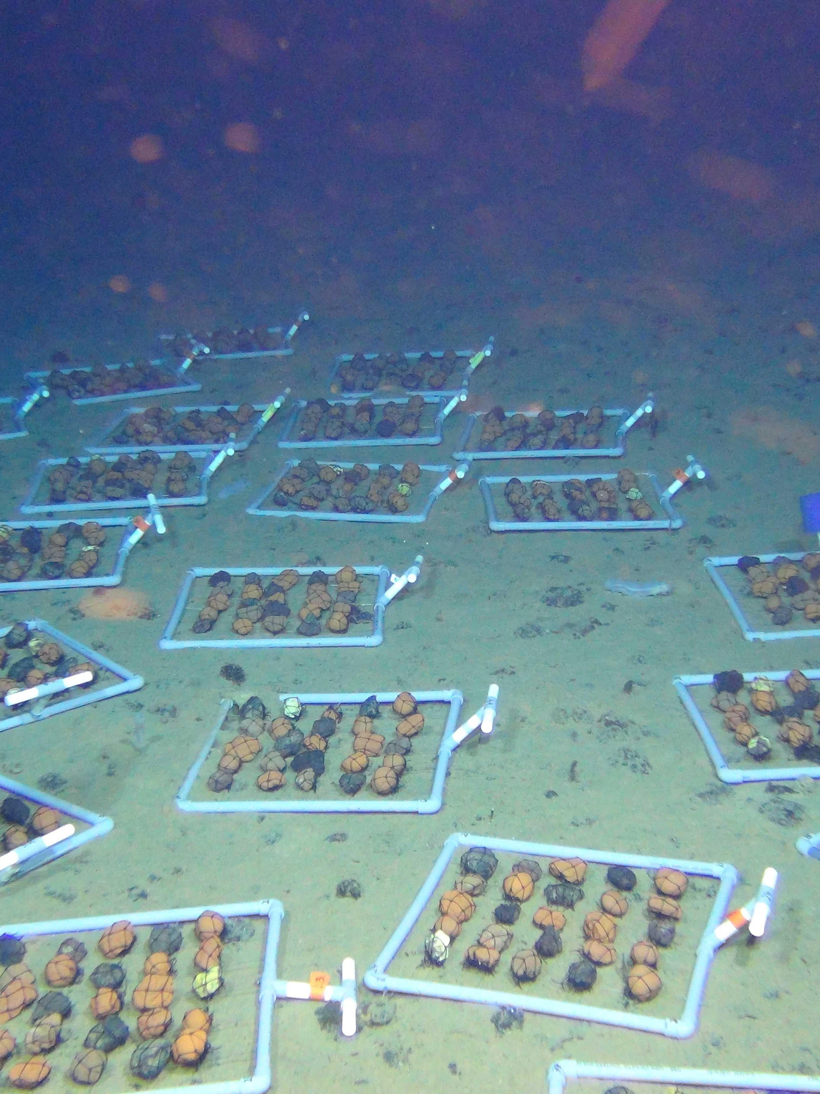 ‘Donkere zuurstof’ ontdekt in minerale afzettingen op de zeebodem