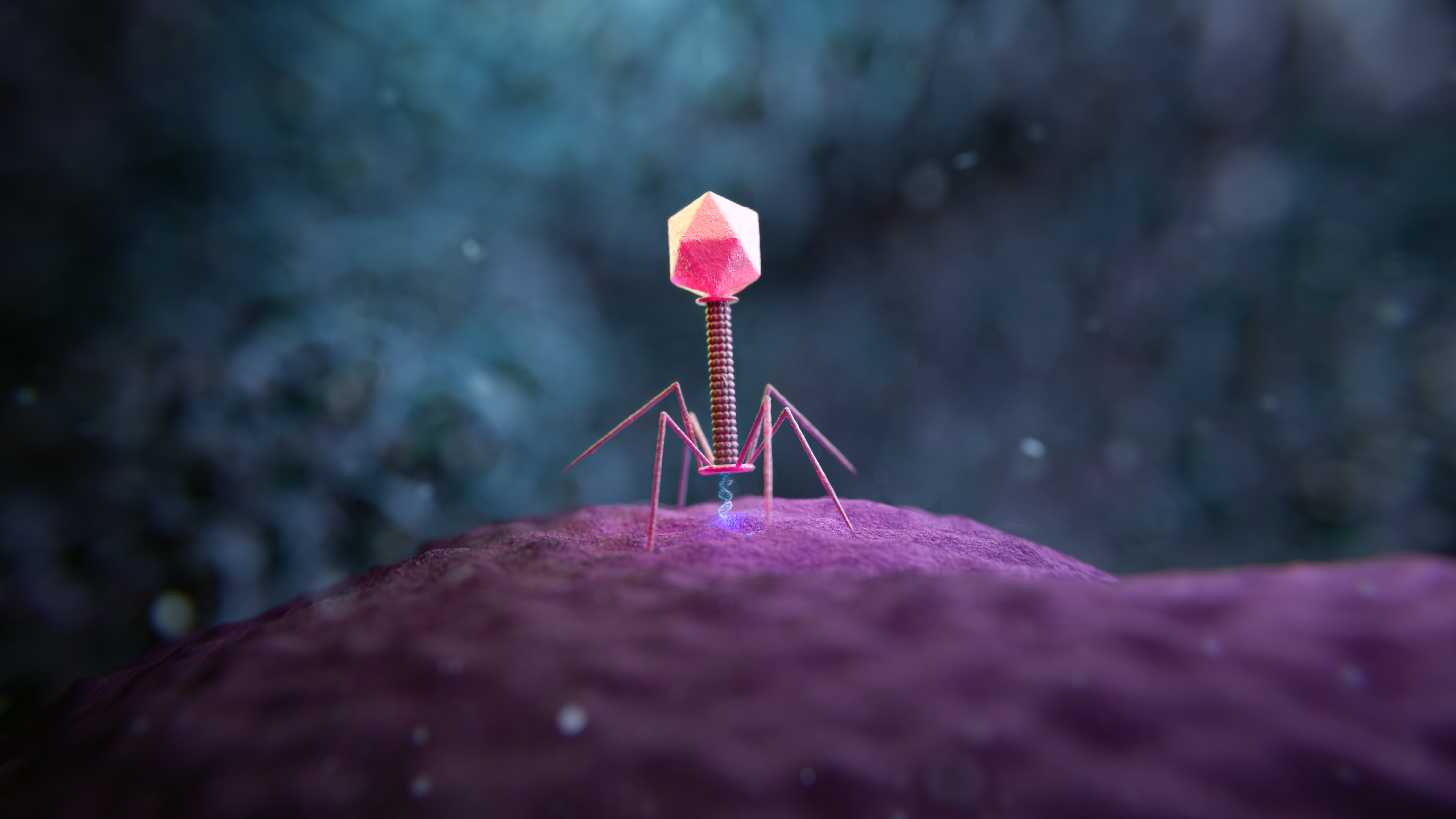 Niet alleen bacteriën, maar ook virussen zijn belangrijk voor je darmgezondheid