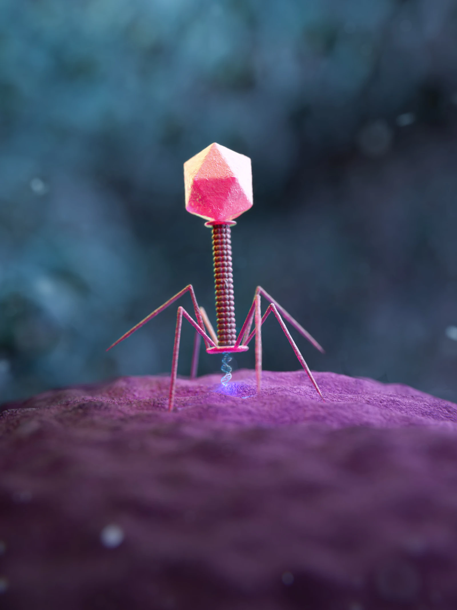 Niet alleen bacteriën, maar ook virussen zijn belangrijk voor je darmgezondheid