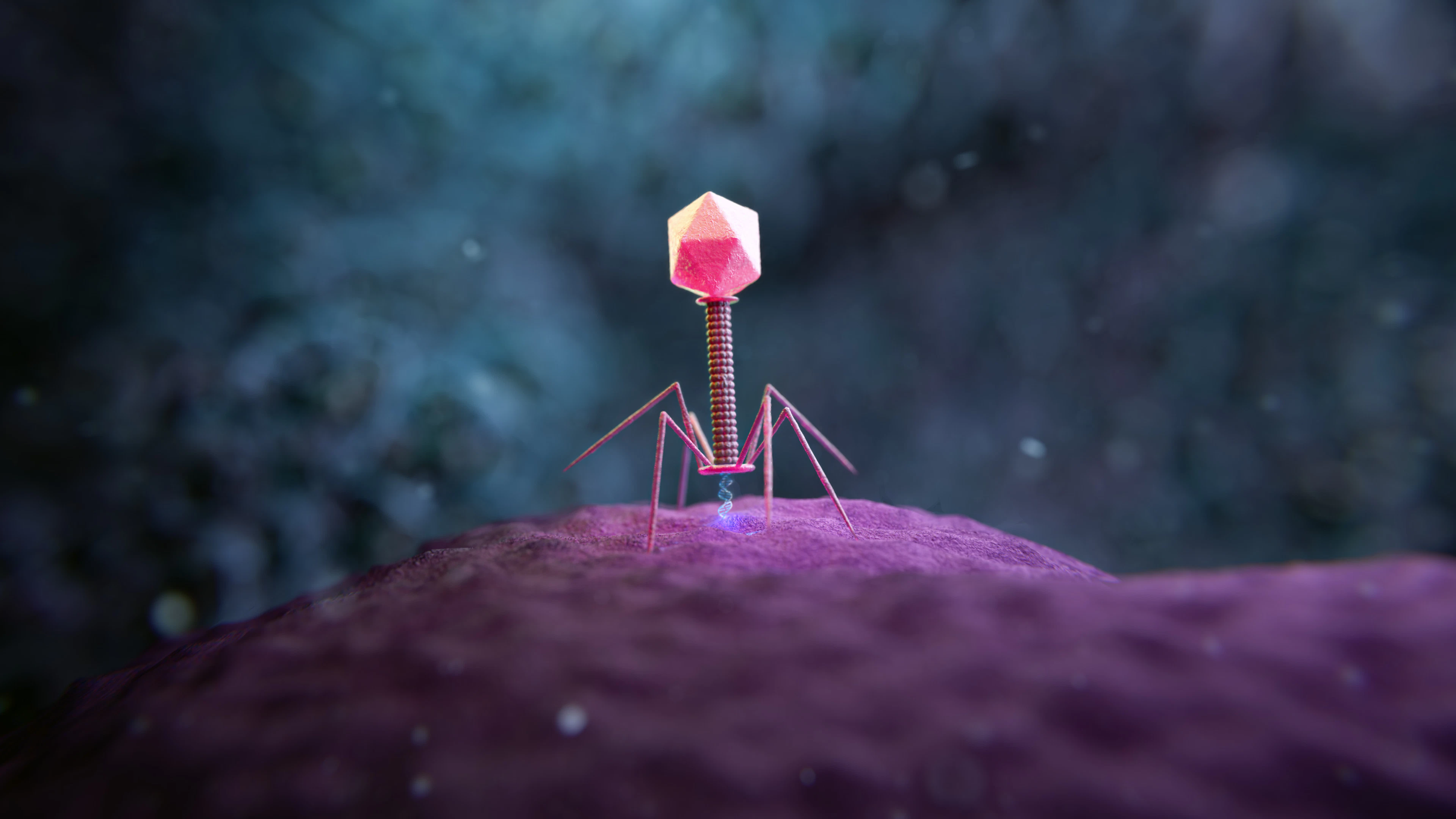 Niet alleen bacteriën, maar ook virussen zijn belangrijk voor je darmgezondheid